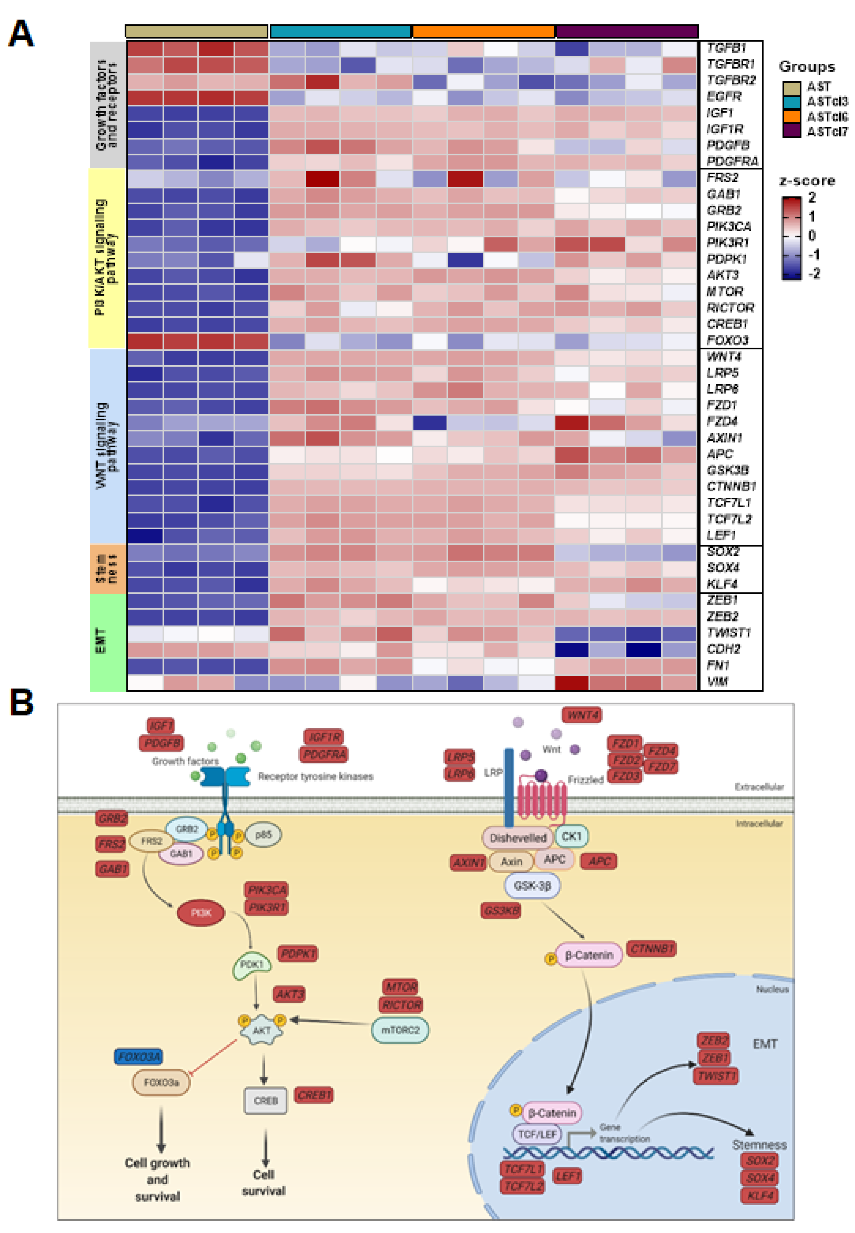 Ijms 23 04471 g006 Ijms 23 04471 g006