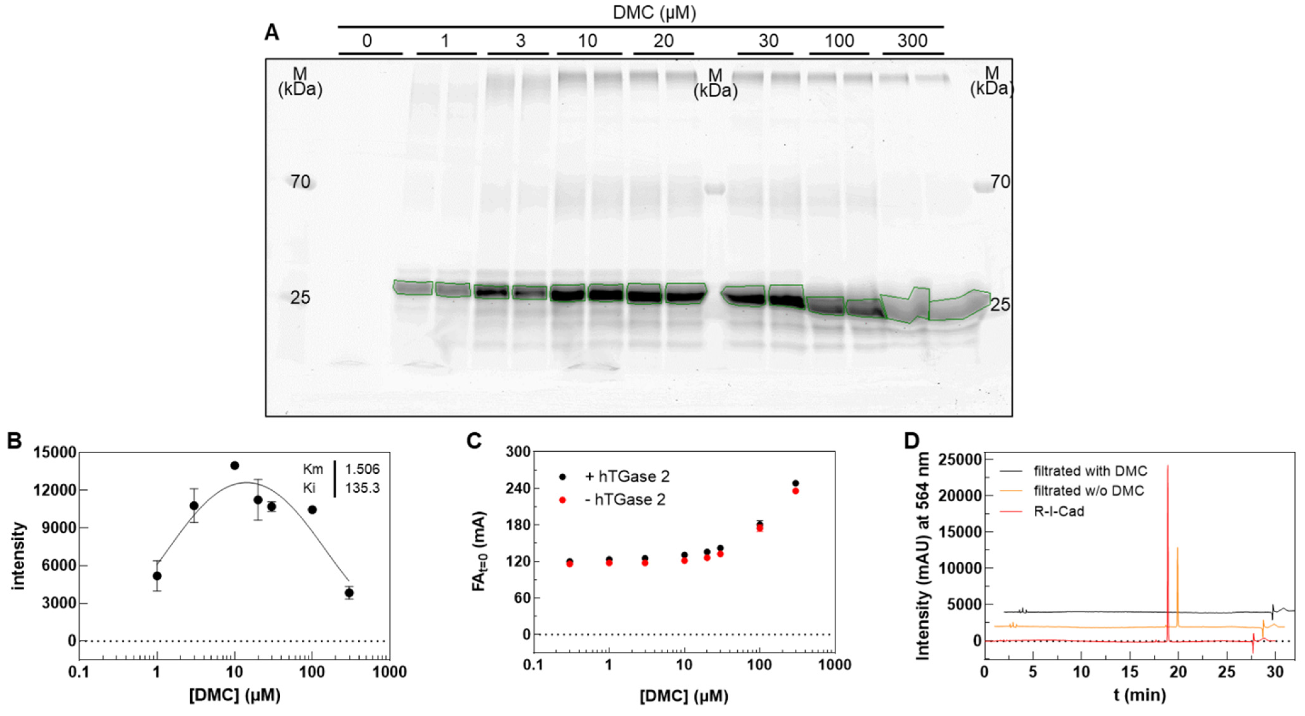 Ijms 23 04475 g002 Ijms 23 04475 g002
