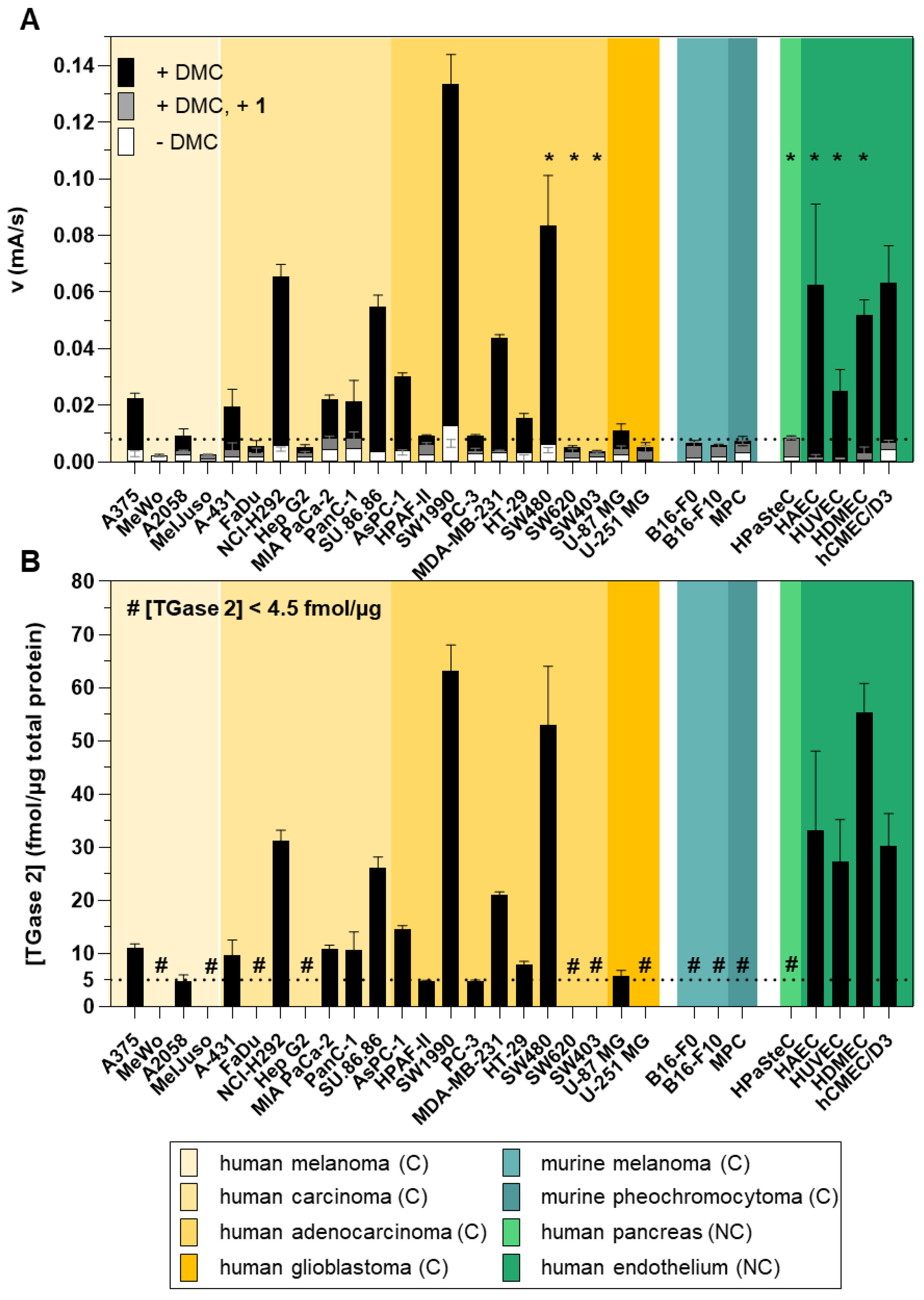 Ijms 23 04475 g004 Ijms 23 04475 g004