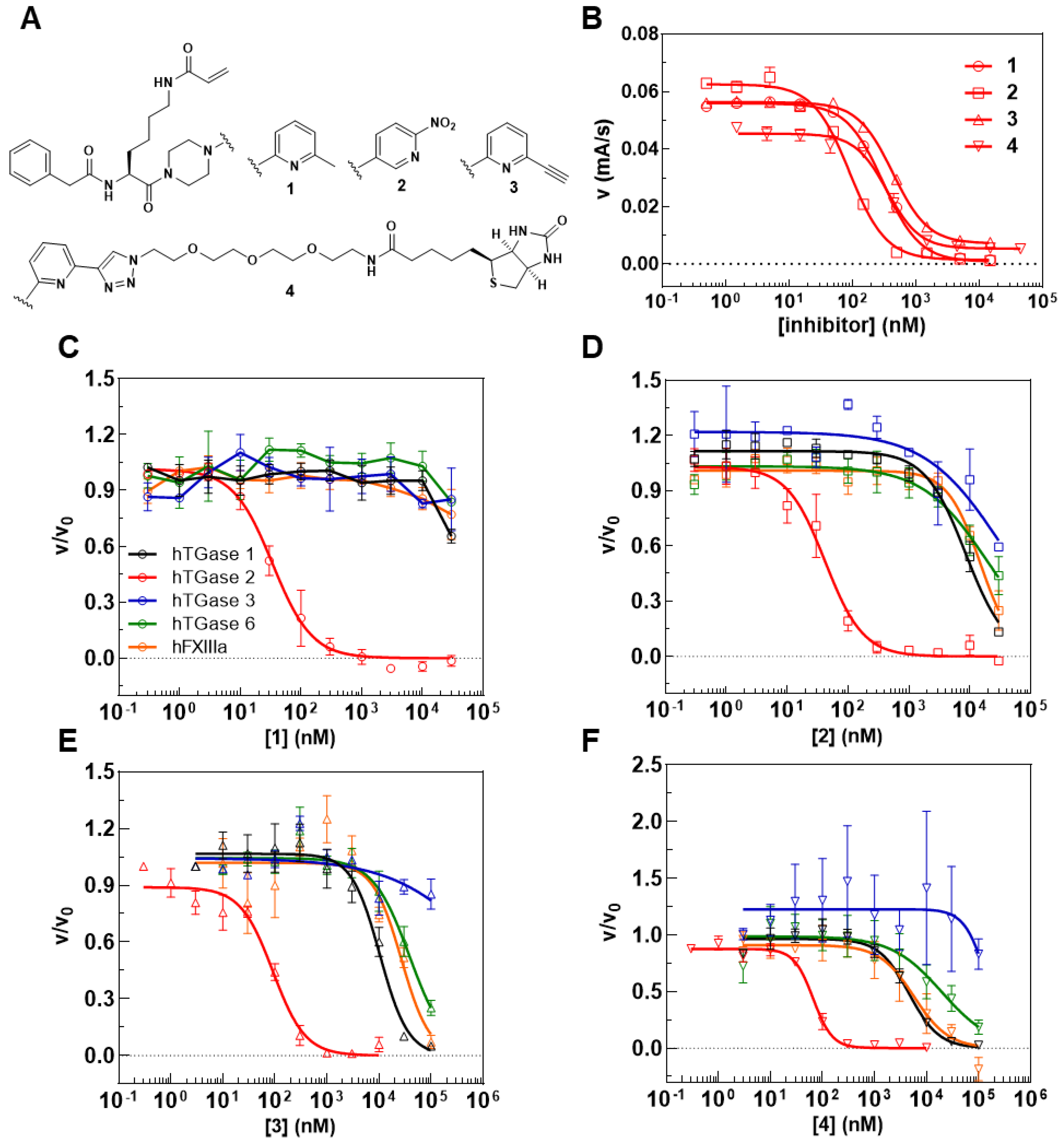 Ijms 23 04475 g005 Ijms 23 04475 g005