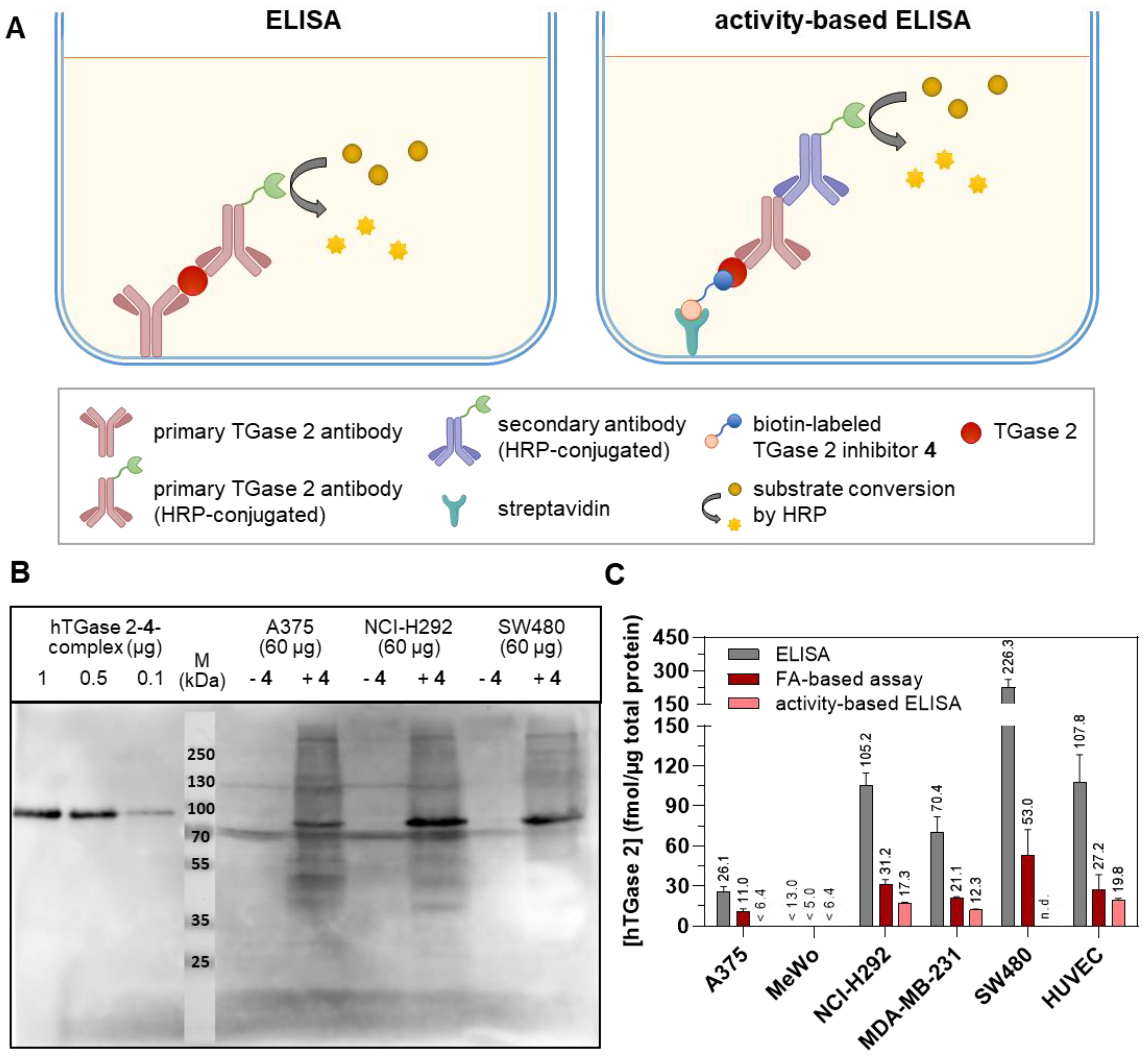 Ijms 23 04475 g006 Ijms 23 04475 g006