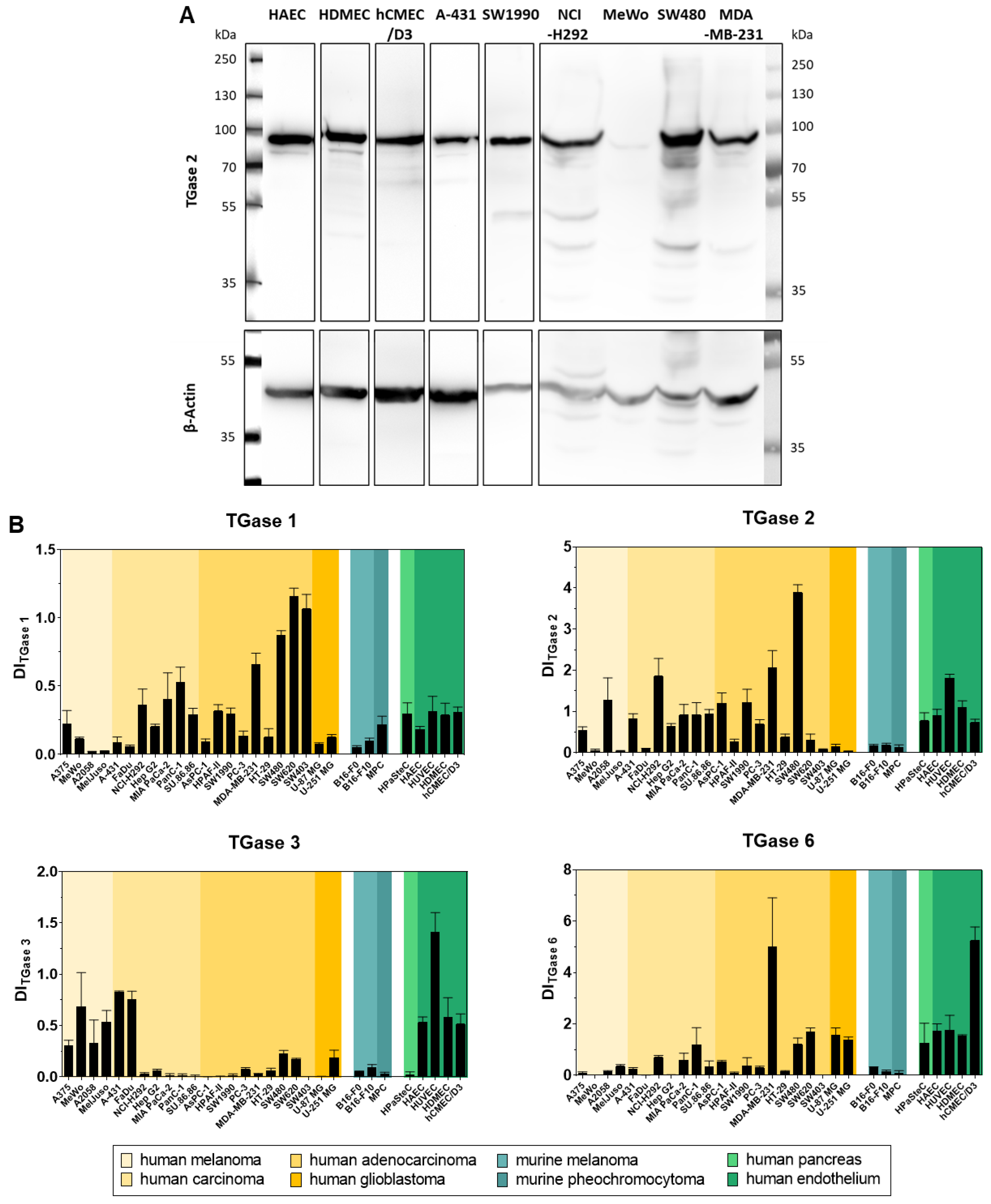 Ijms 23 04475 g007 Ijms 23 04475 g007