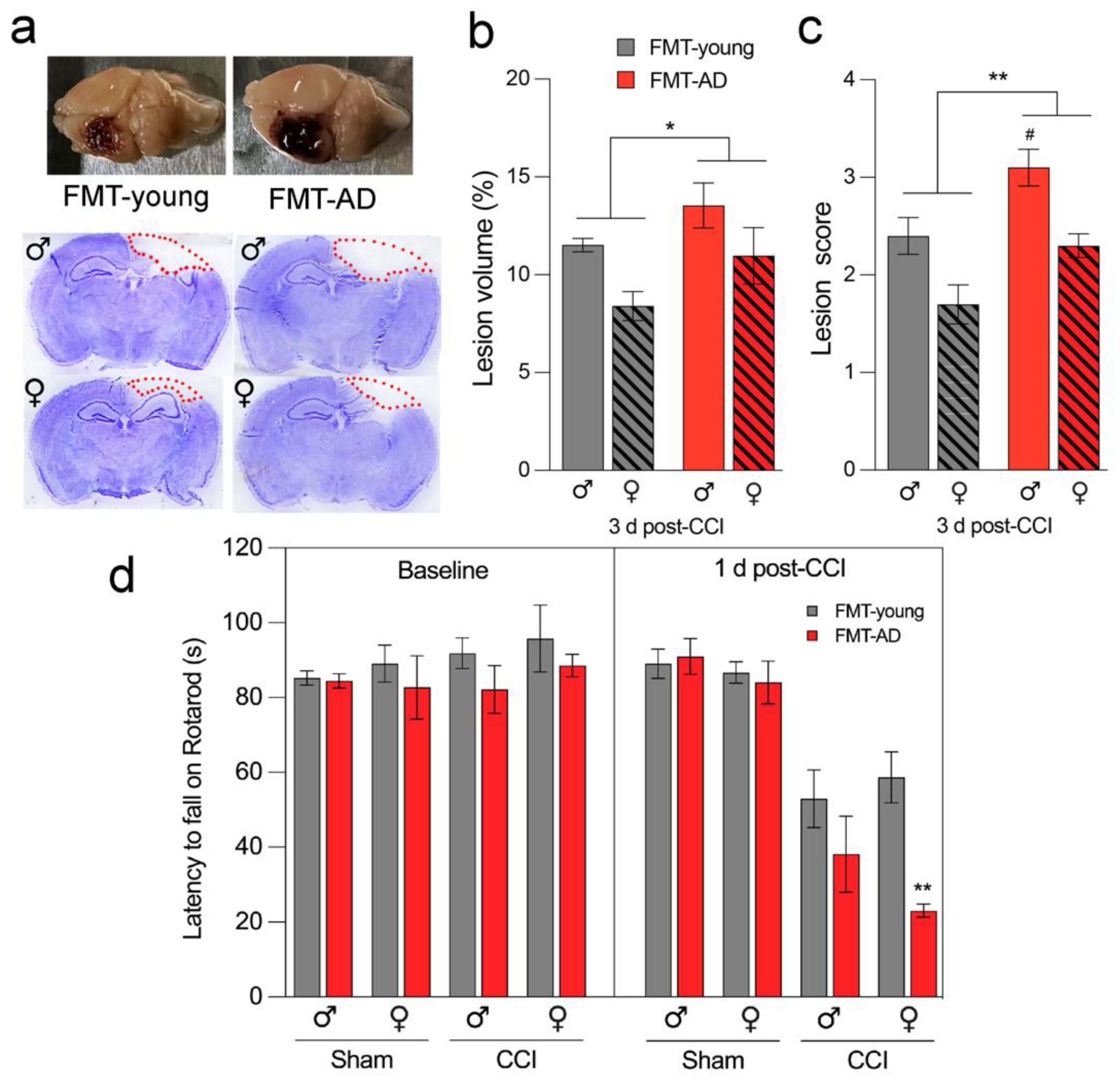 Ijms 23 04476 g003 550