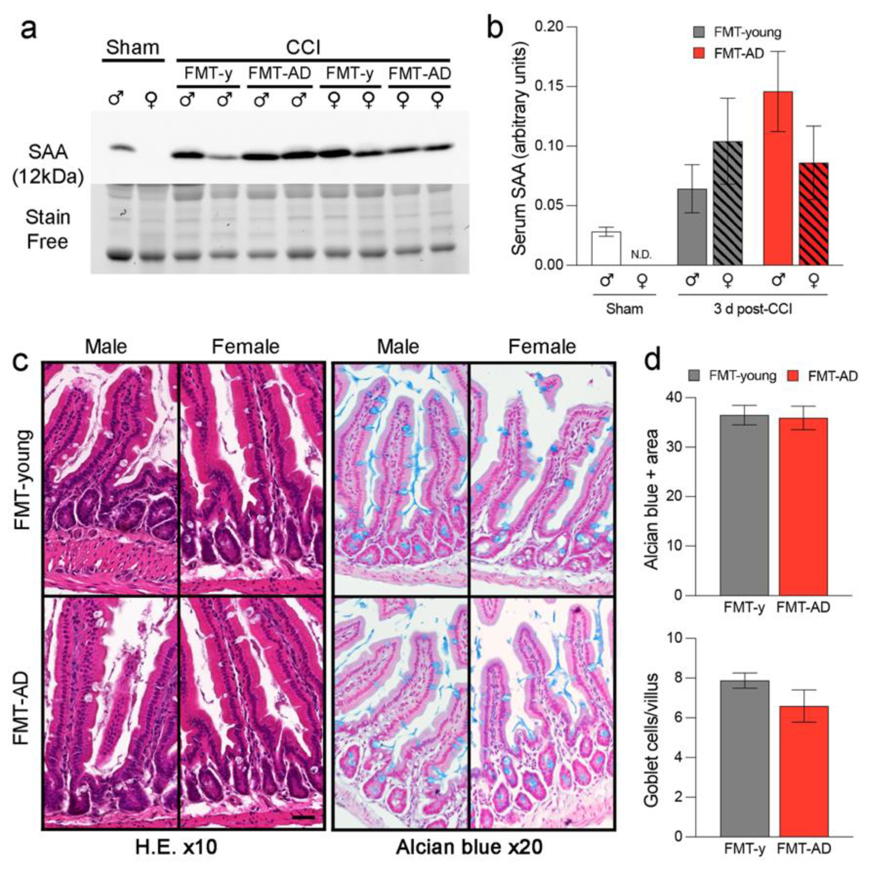 Ijms 23 04476 g005 550