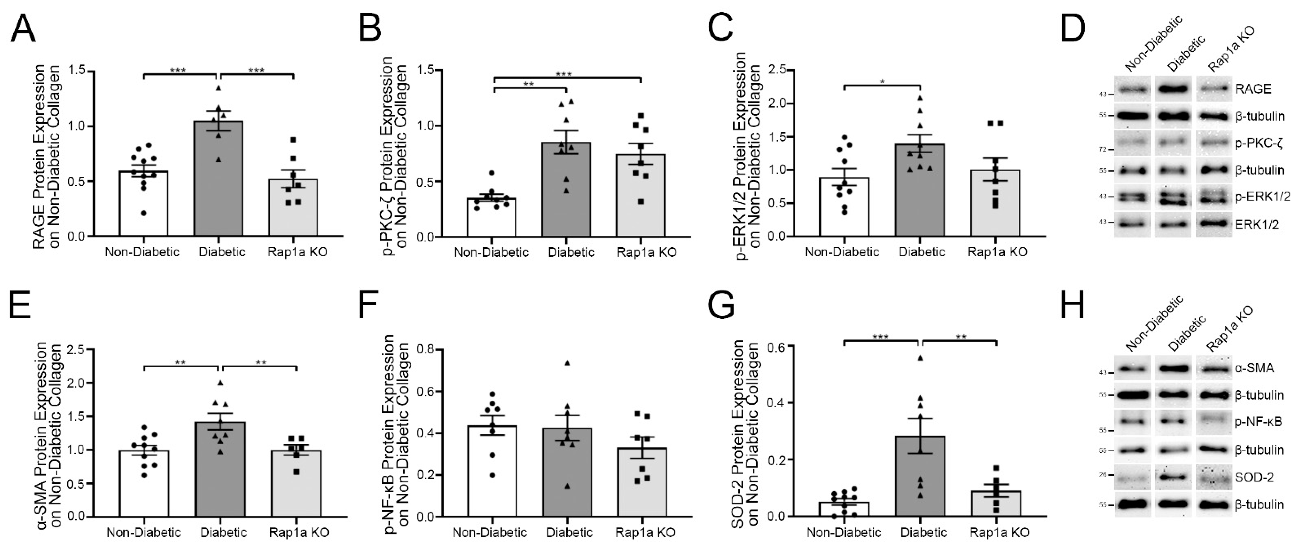 Ijms 23 04480 g001 550