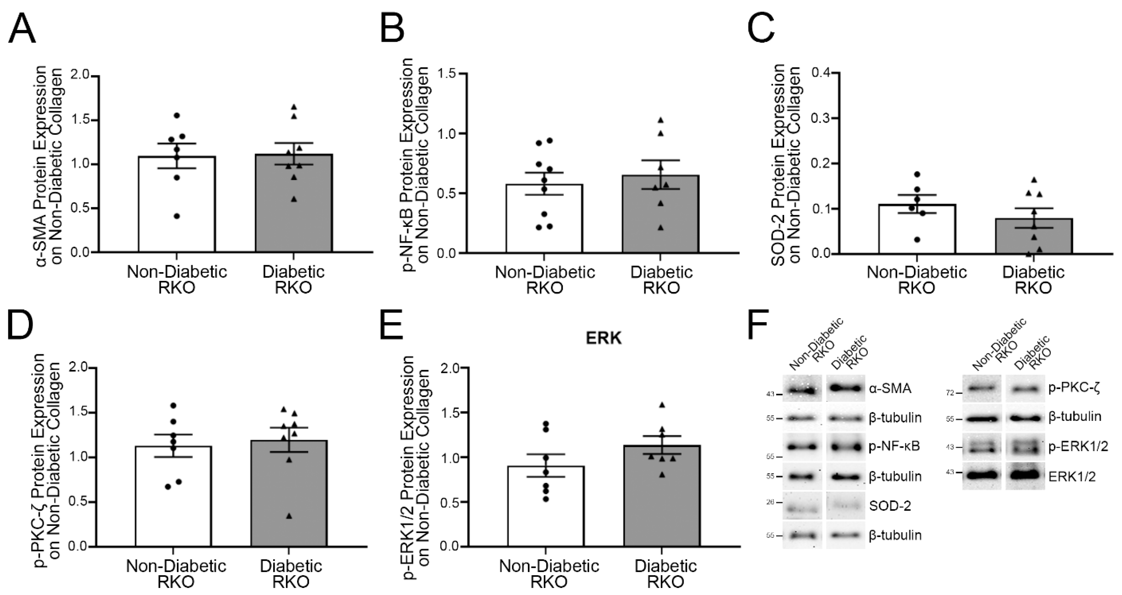 Ijms 23 04480 g002 550