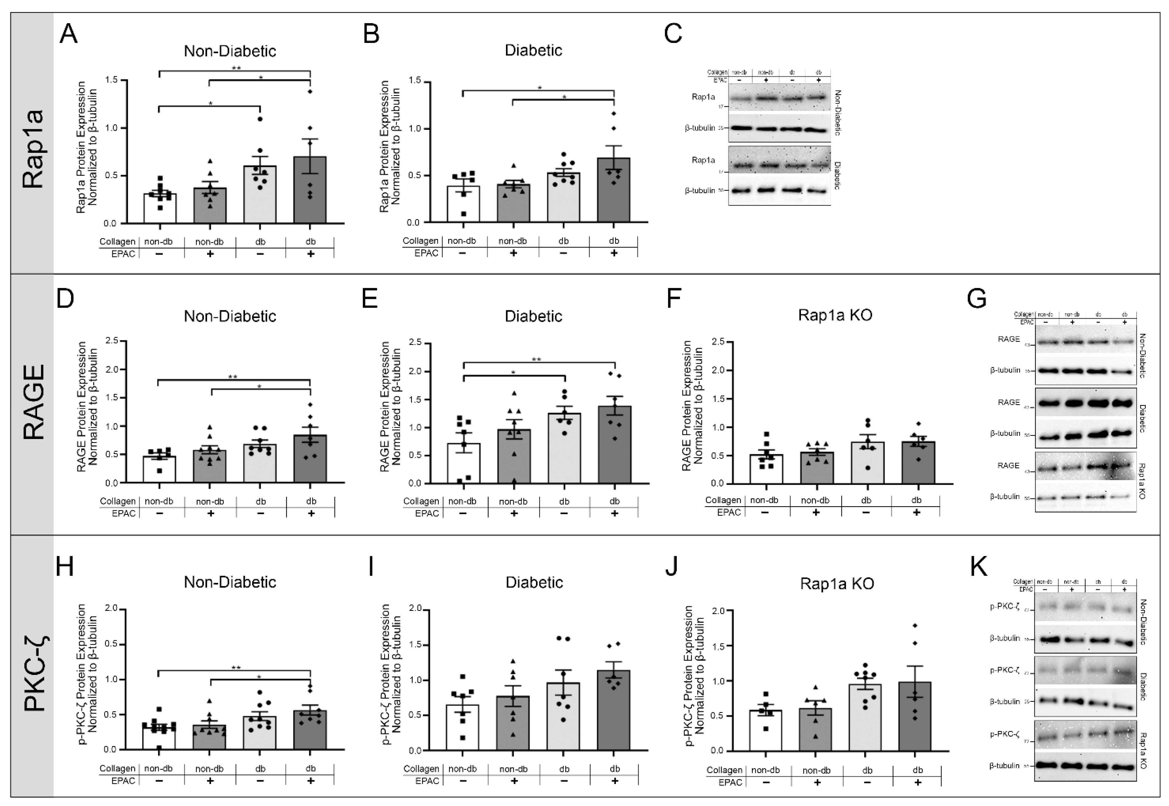 Ijms 23 04480 g003 550