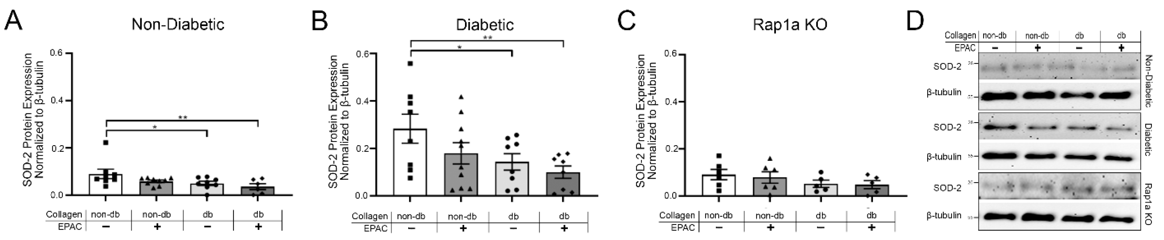 Ijms 23 04480 g006 550