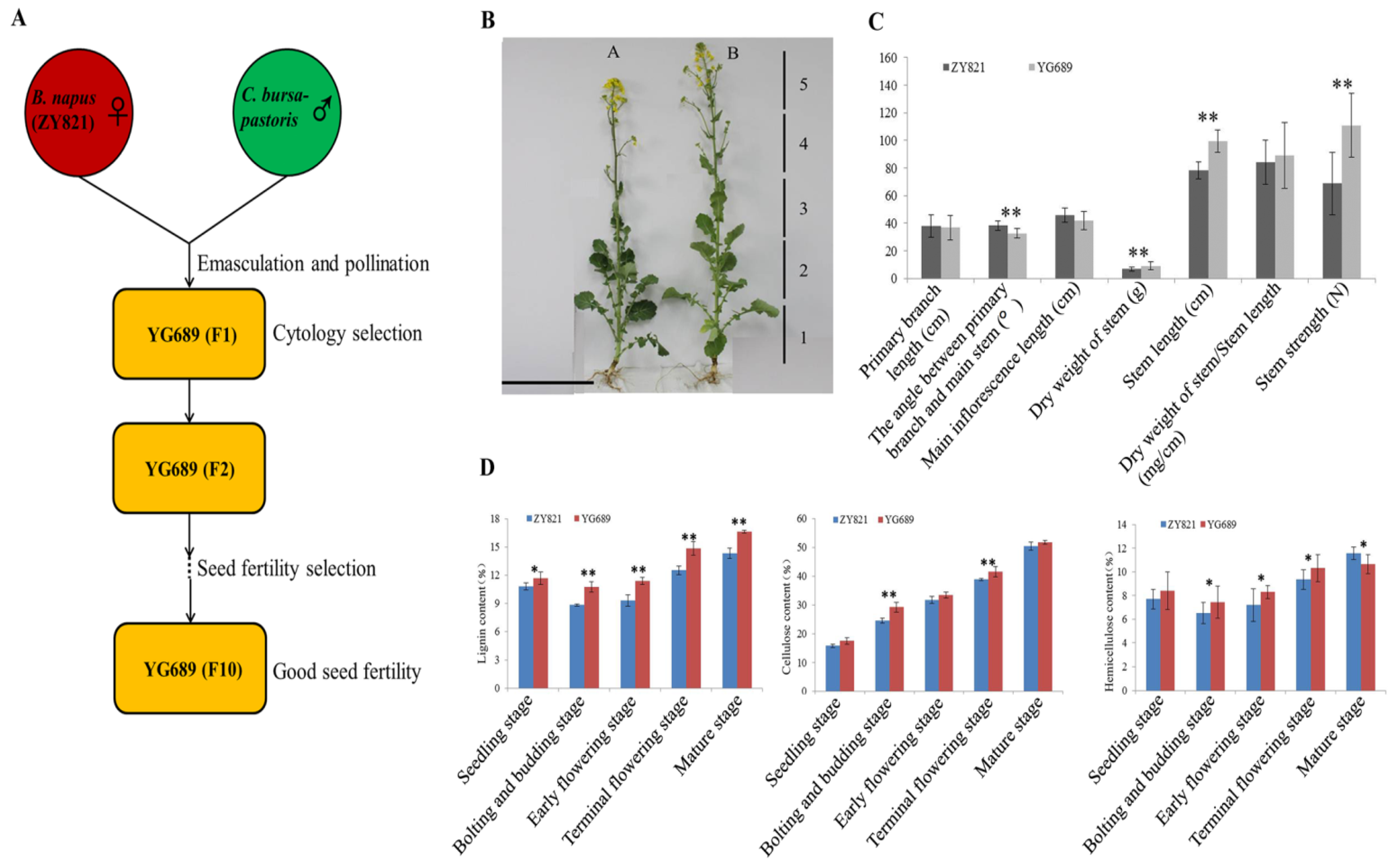 Ijms 23 04481 g001 550