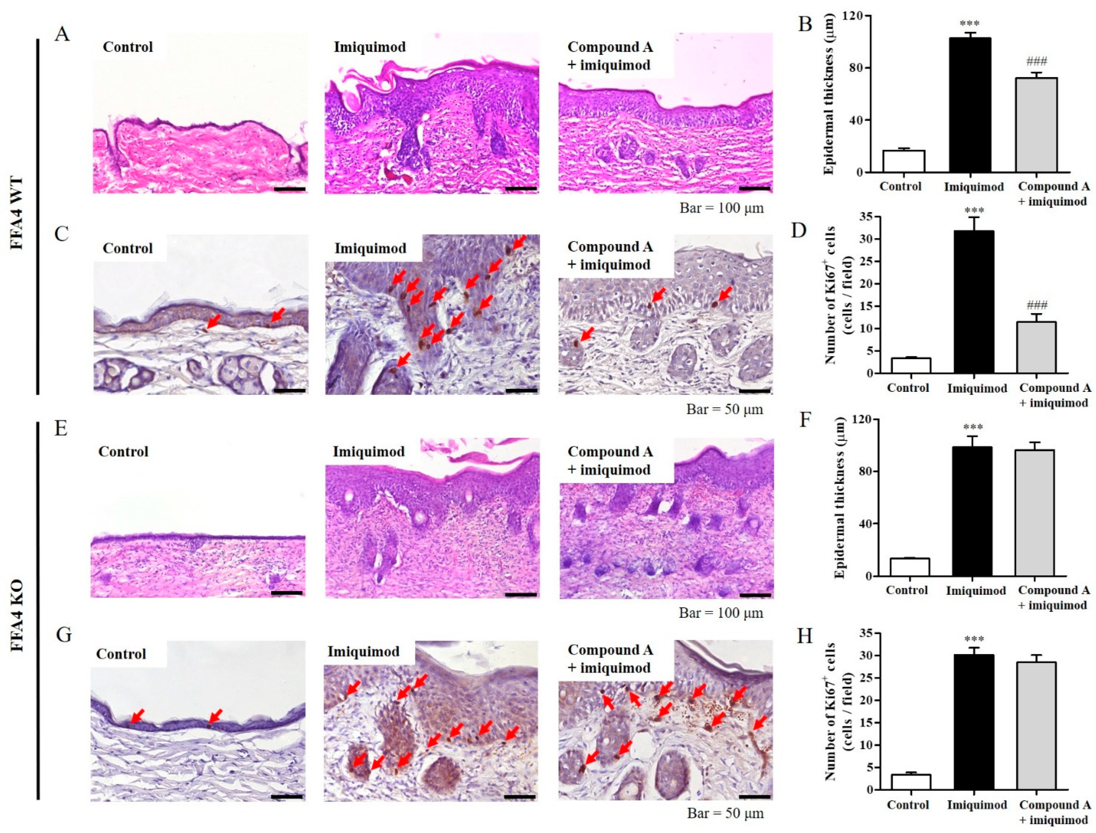 Ijms 23 04482 g002 550