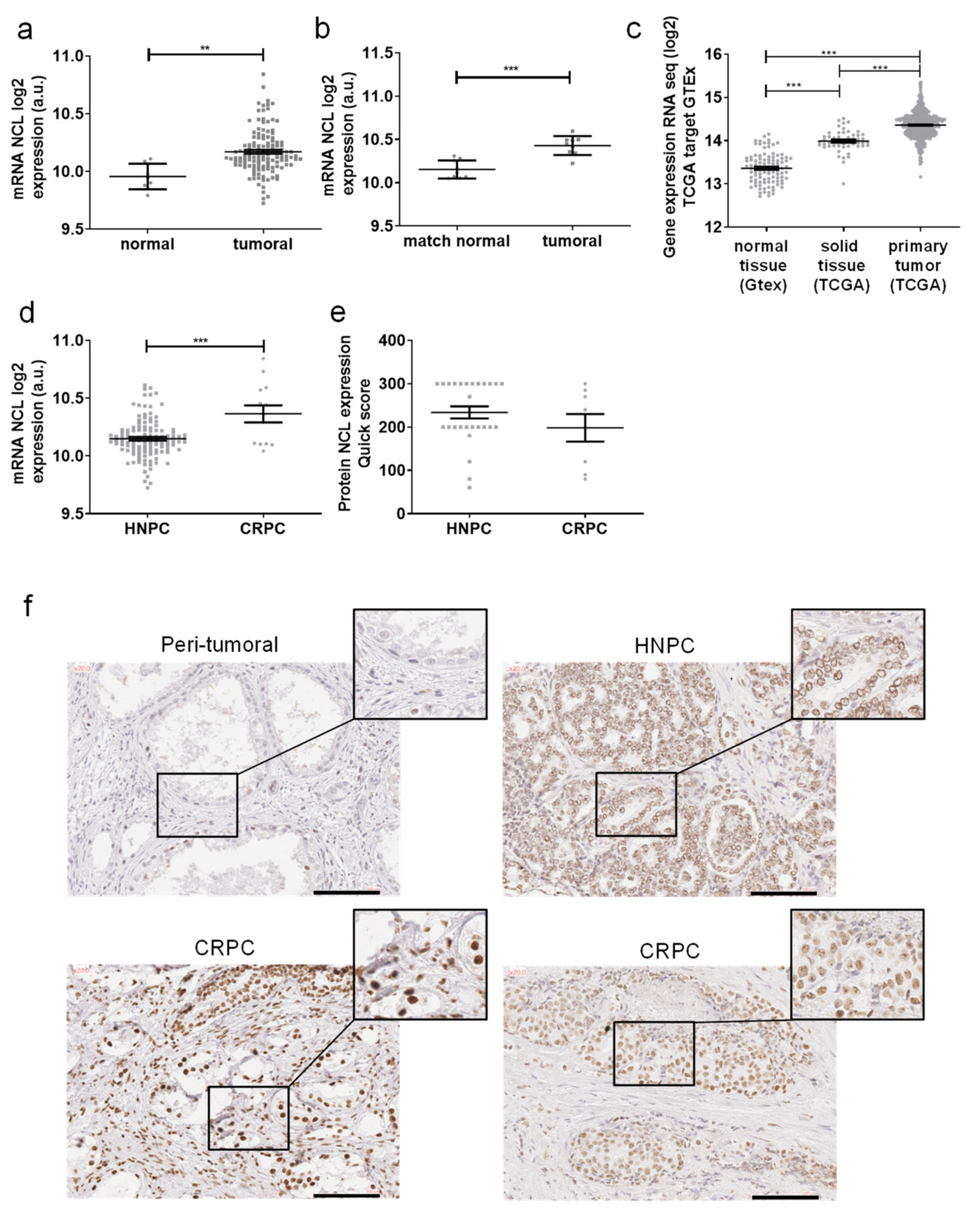 Ijms 23 04491 g001 Ijms 23 04491 g001