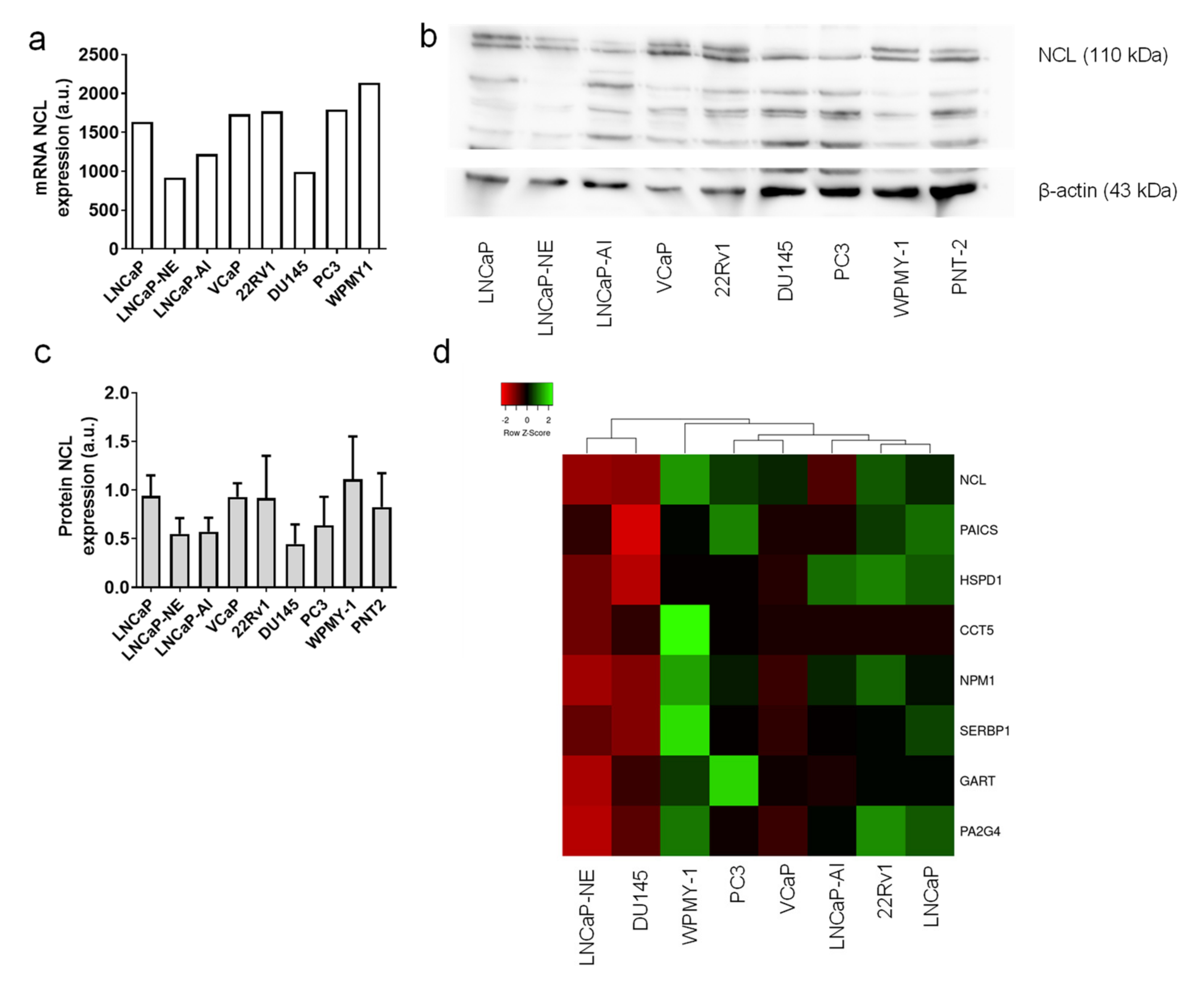 Ijms 23 04491 g005 Ijms 23 04491 g005