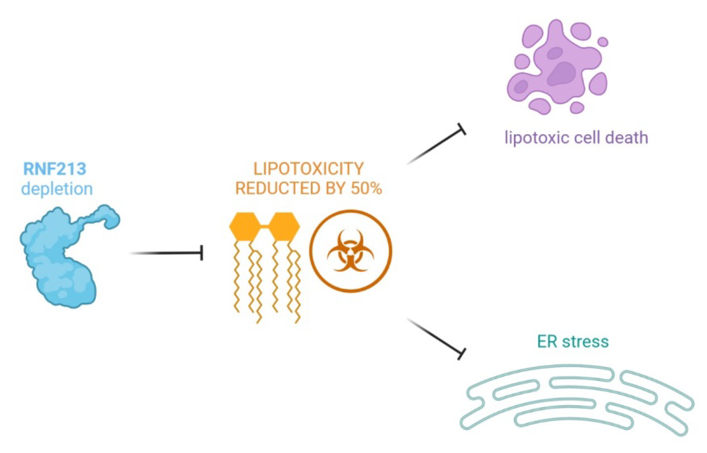 Ijms 23 04492 g001 550