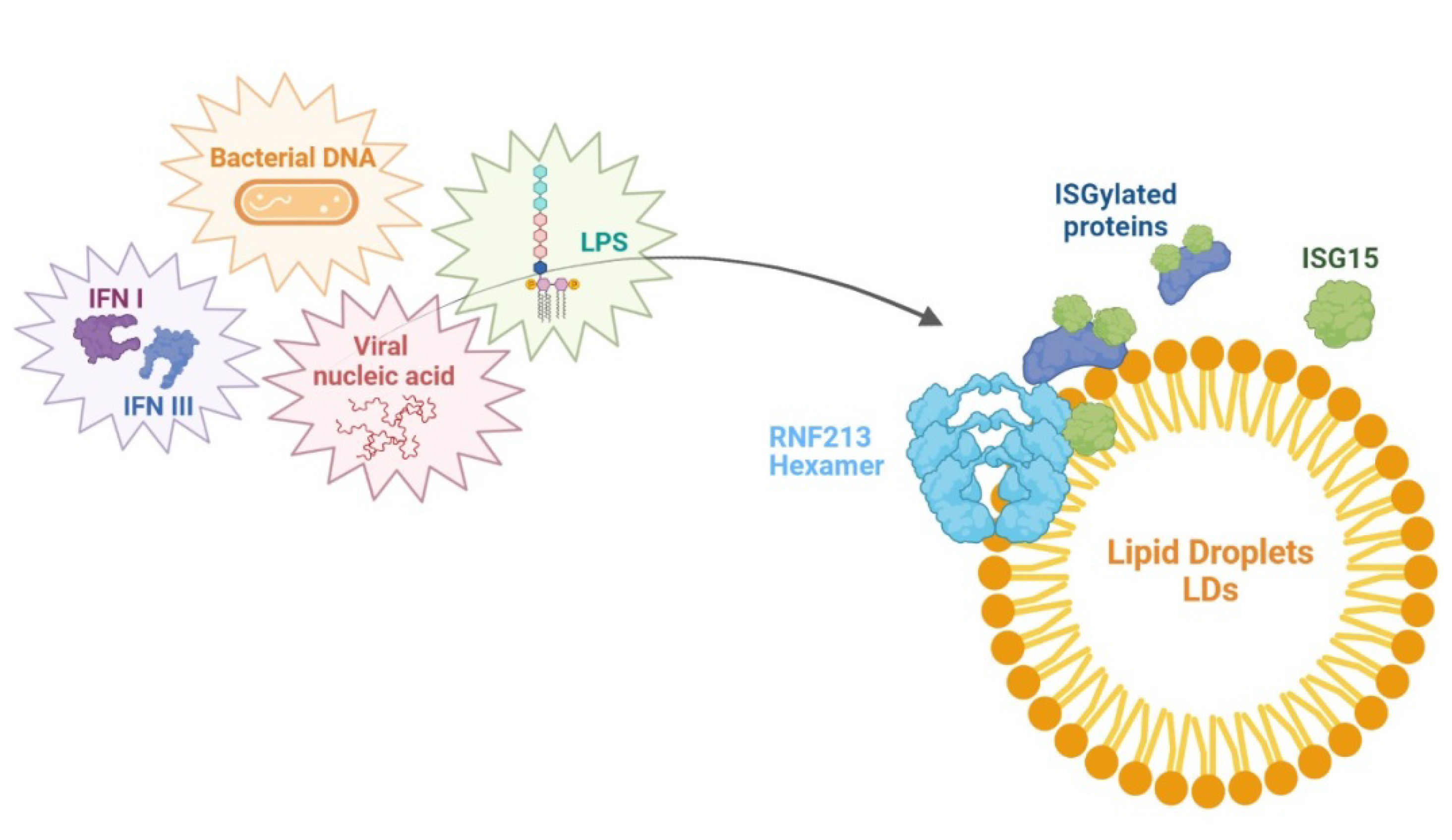 Ijms 23 04492 g005 550