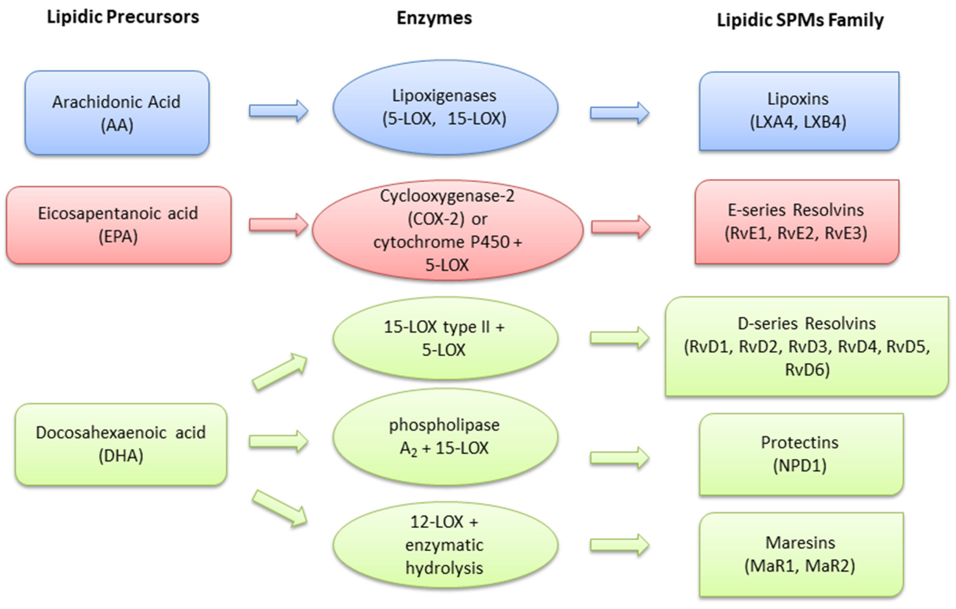 Ijms 23 04501 g001 550