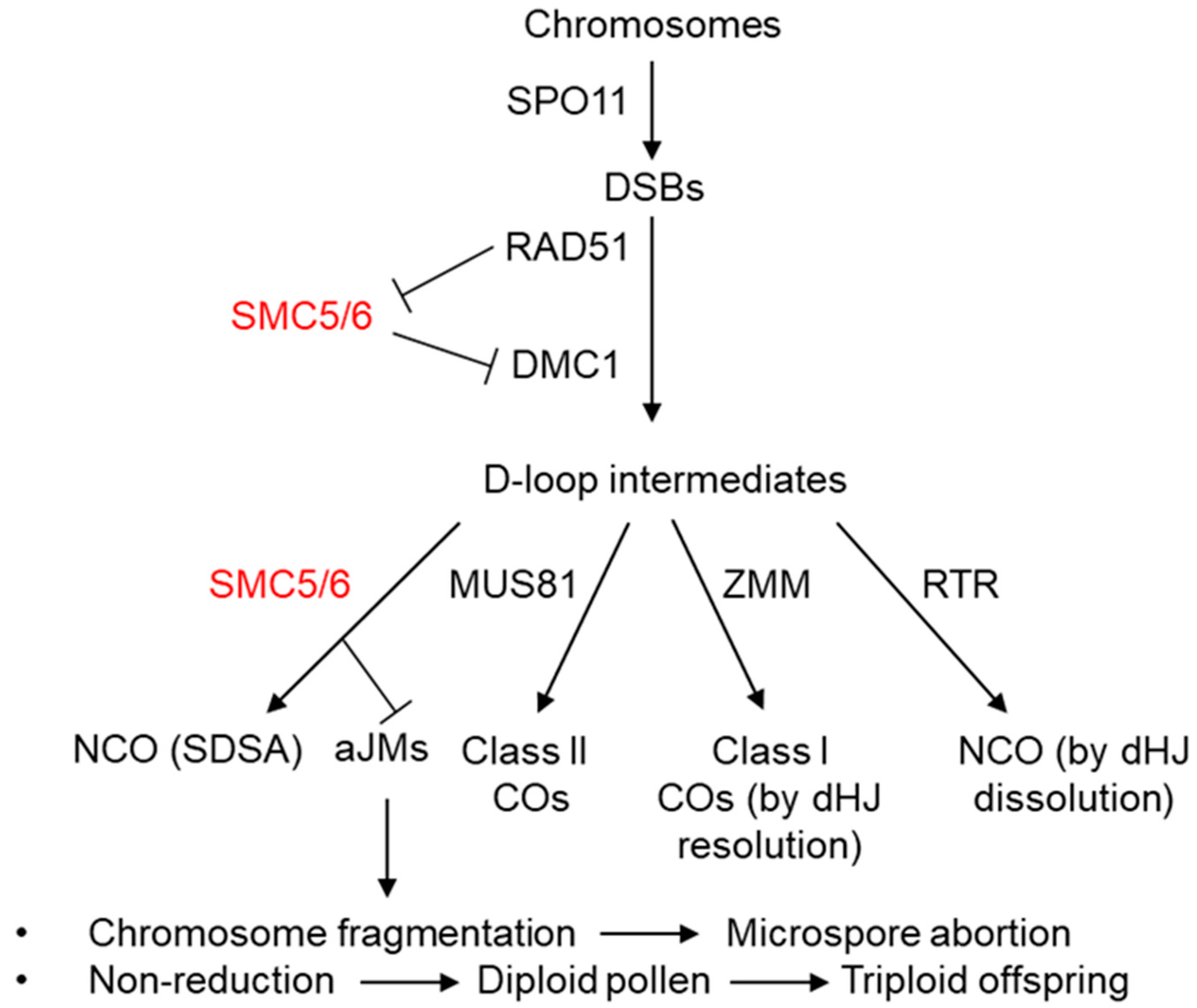 Ijms 23 04503 g001