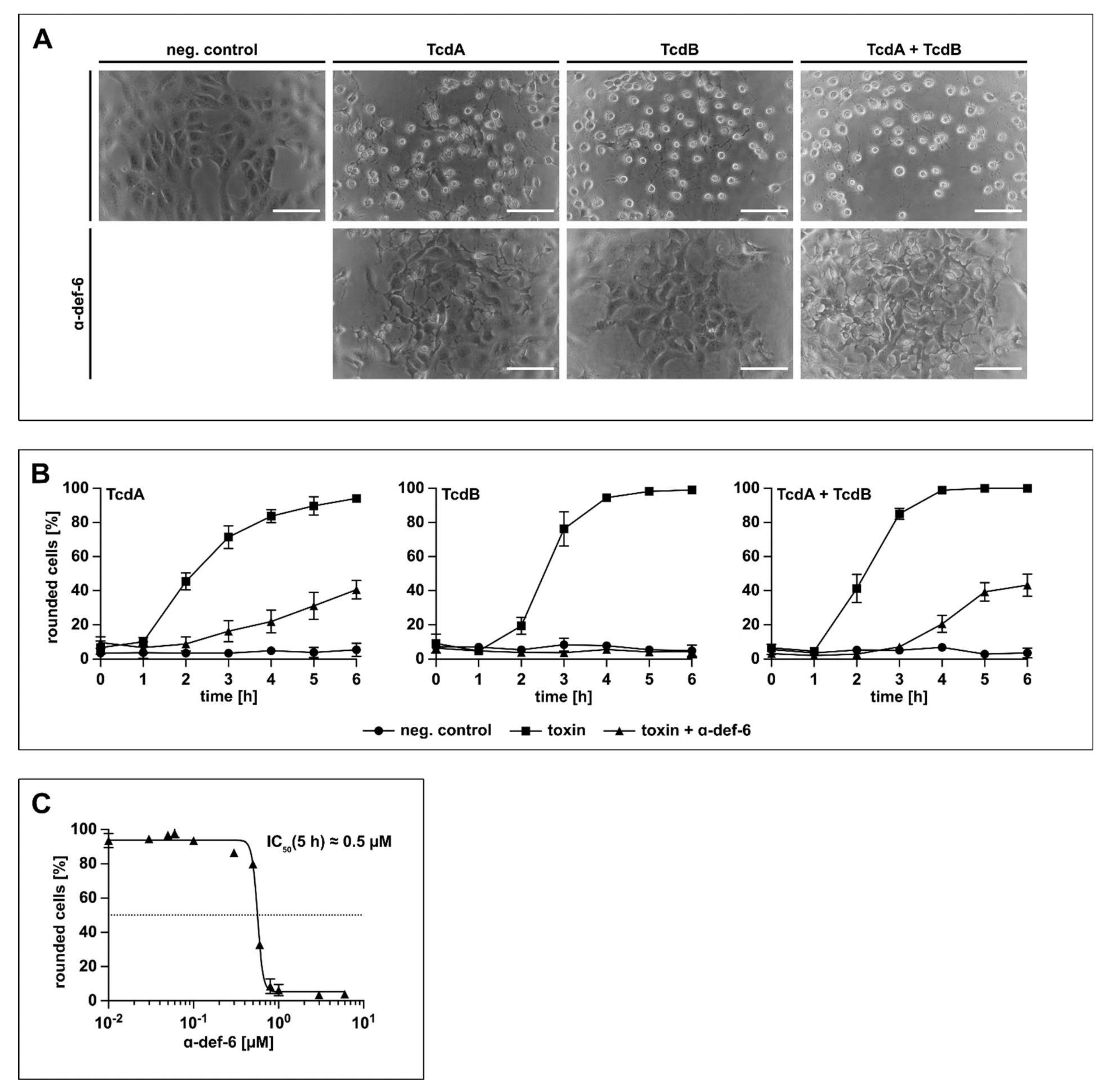 Ijms 23 04509 g003 550
