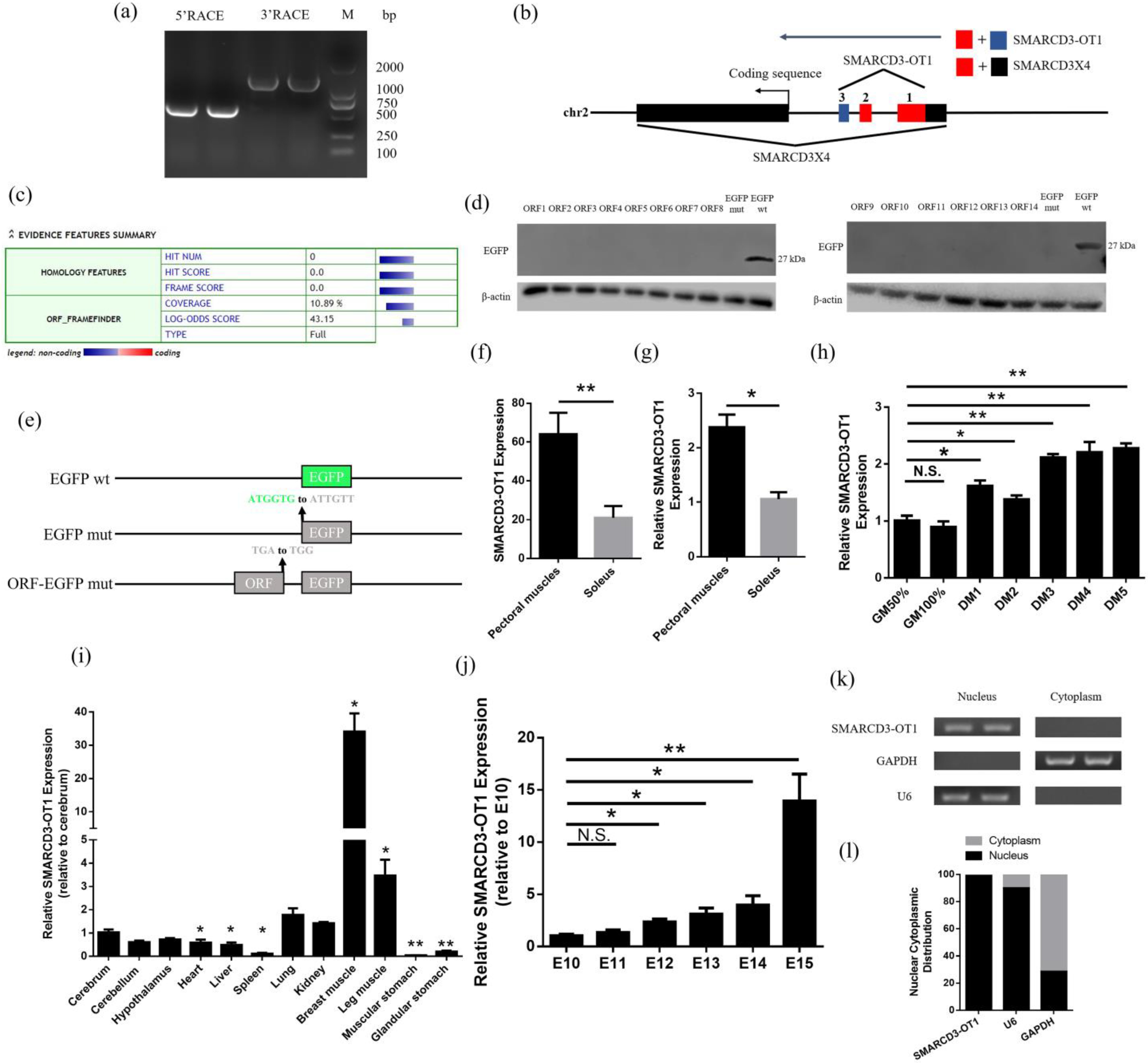Ijms 23 04510 g001 550