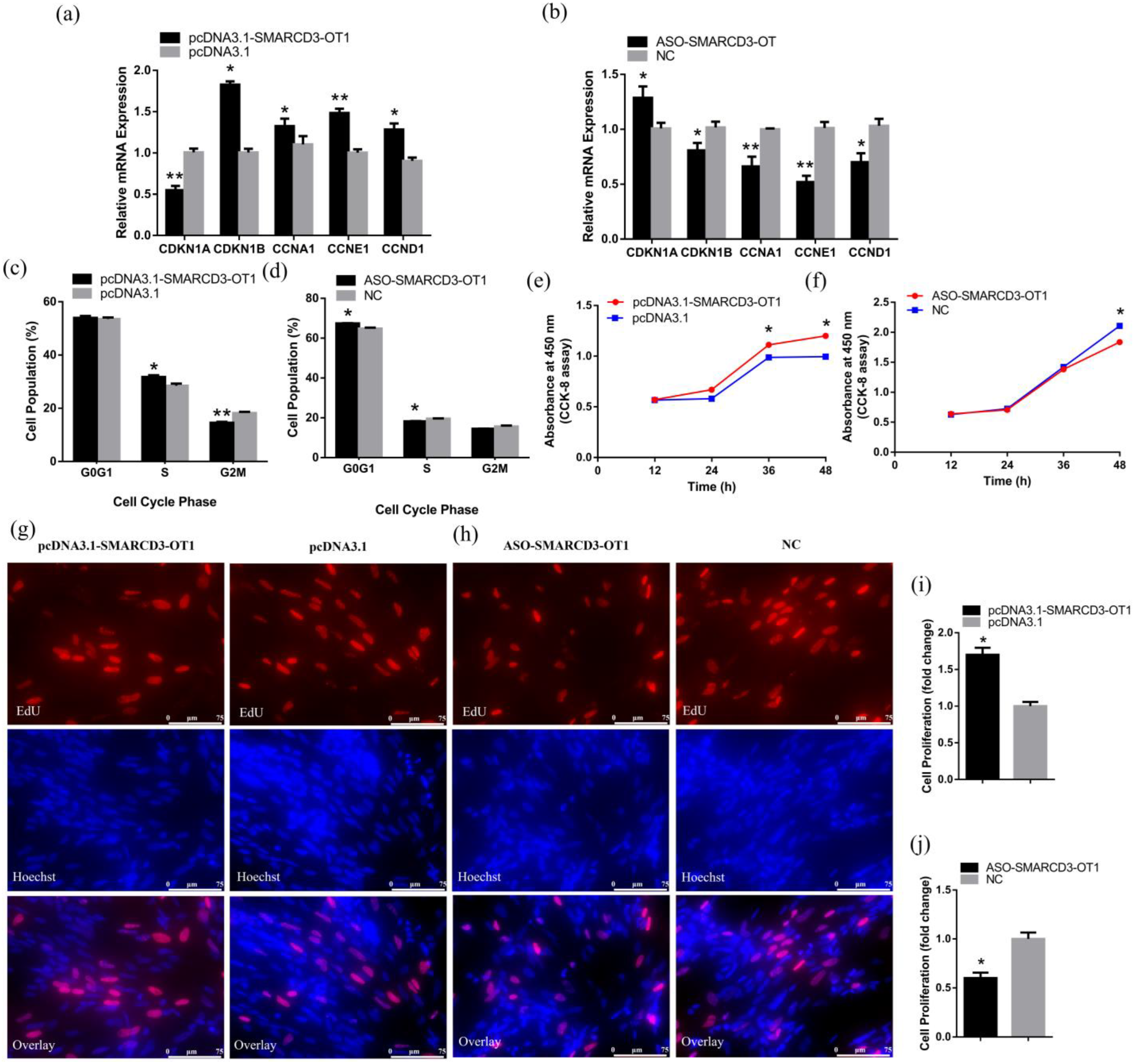 Ijms 23 04510 g002 550