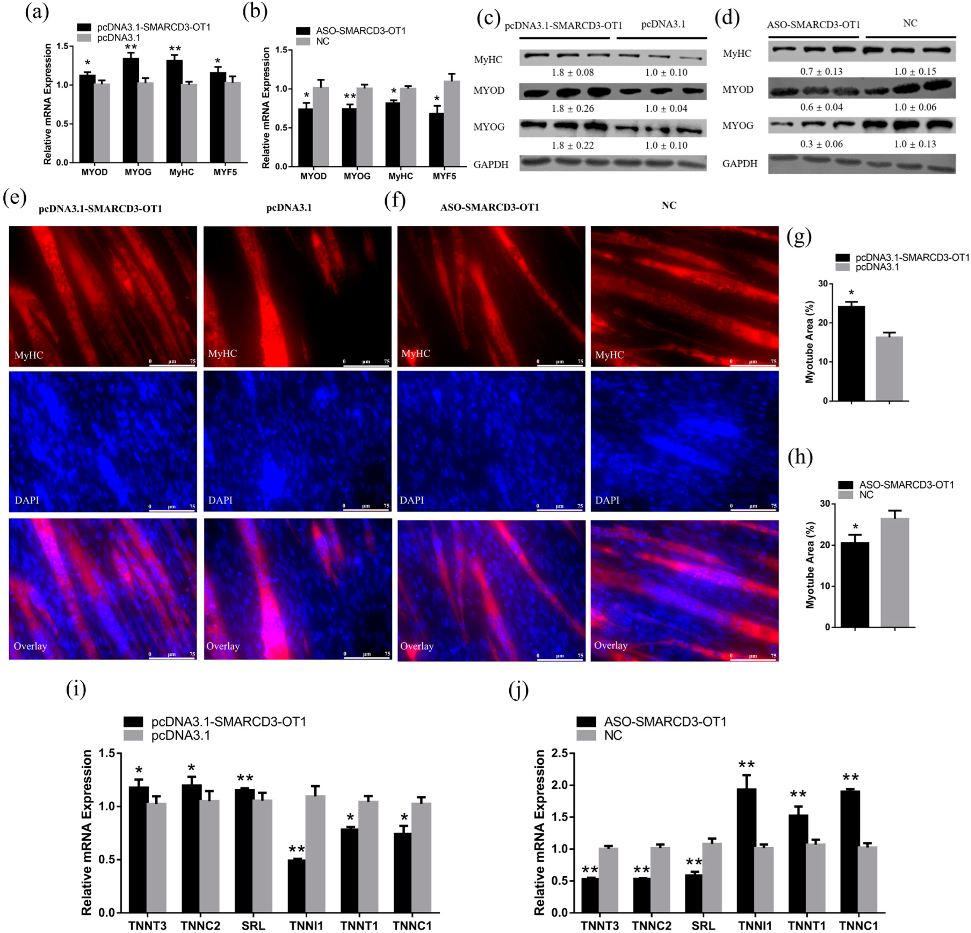 Ijms 23 04510 g003 550