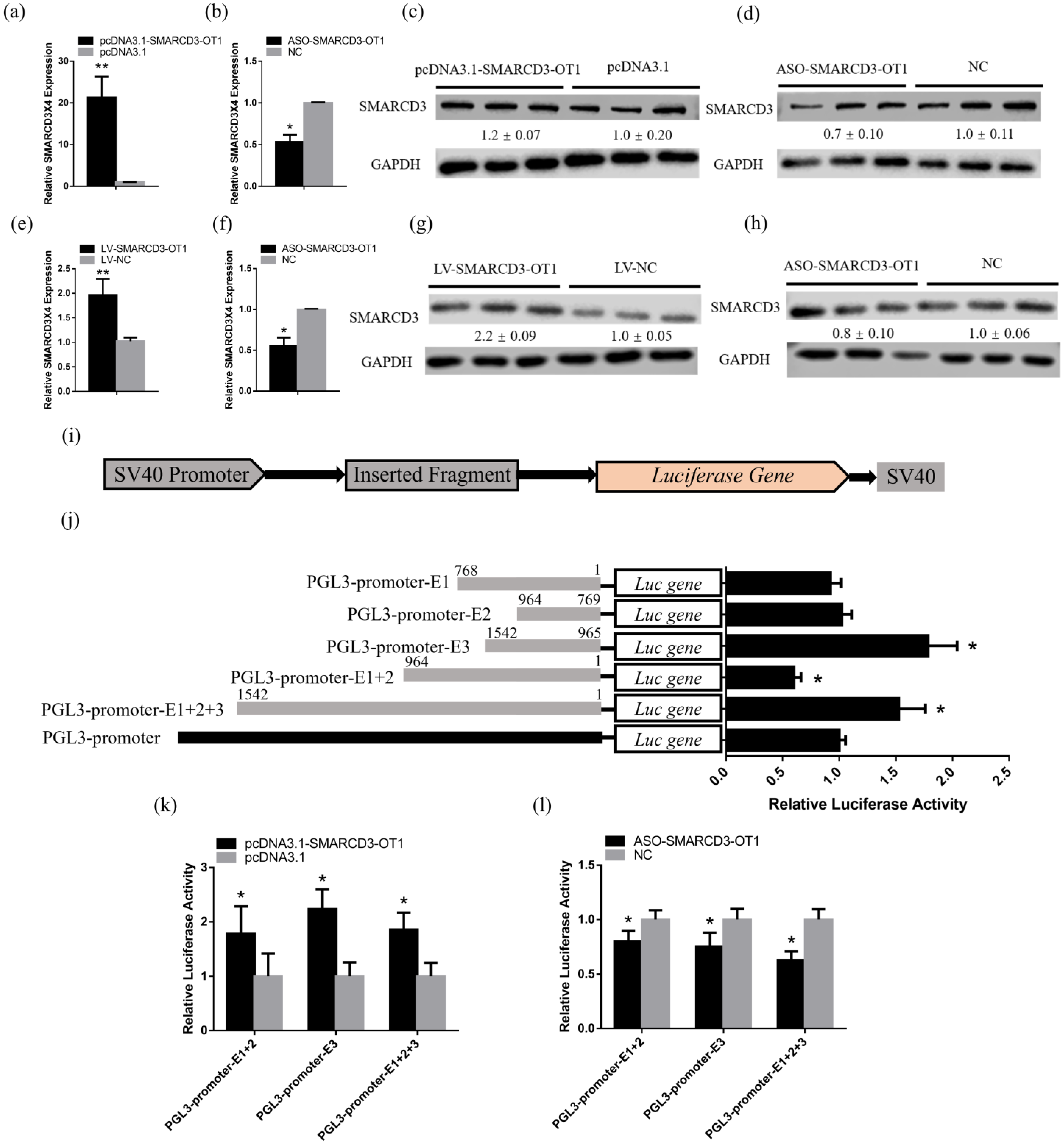 Ijms 23 04510 g004 550