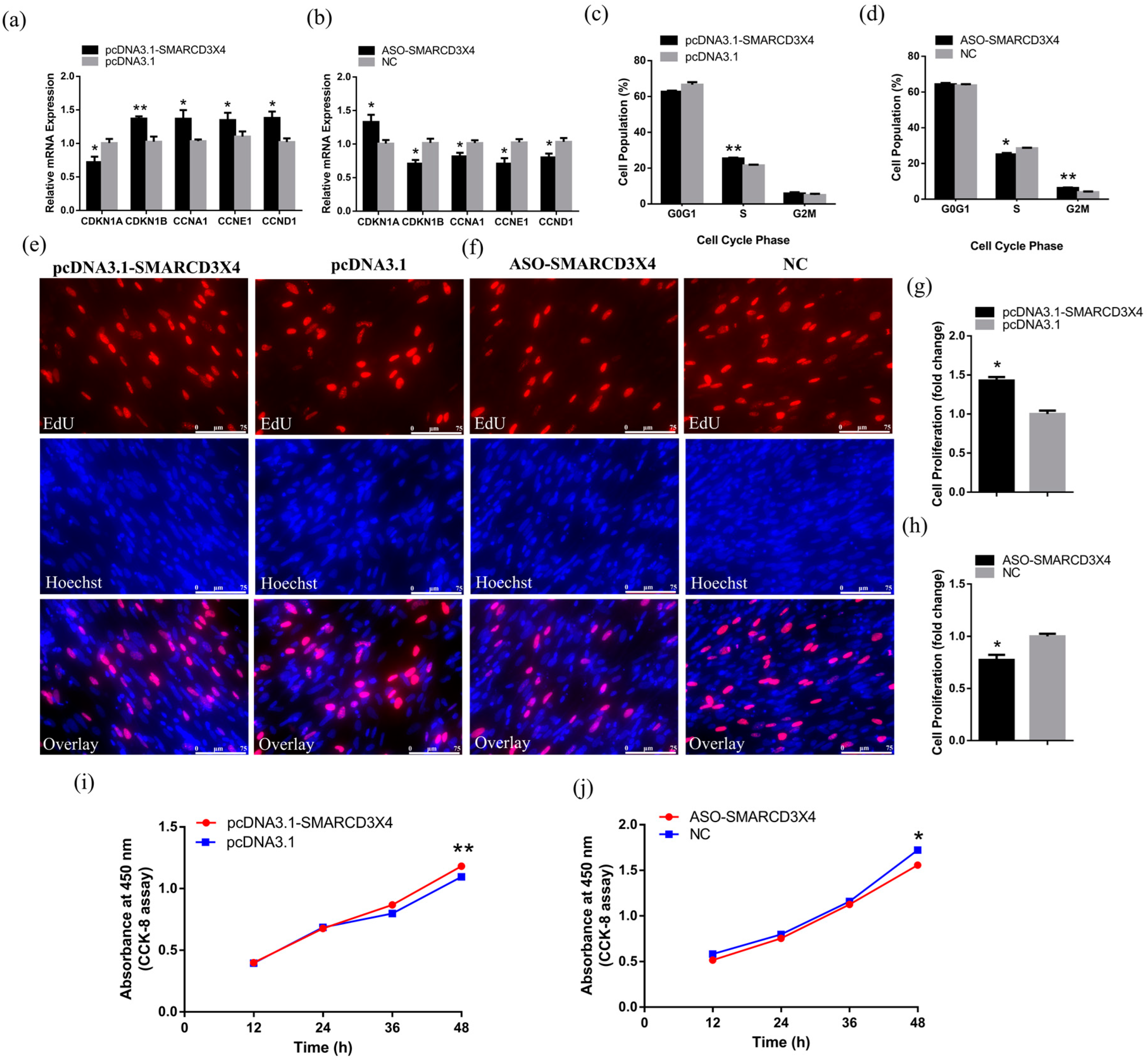 Ijms 23 04510 g005 550
