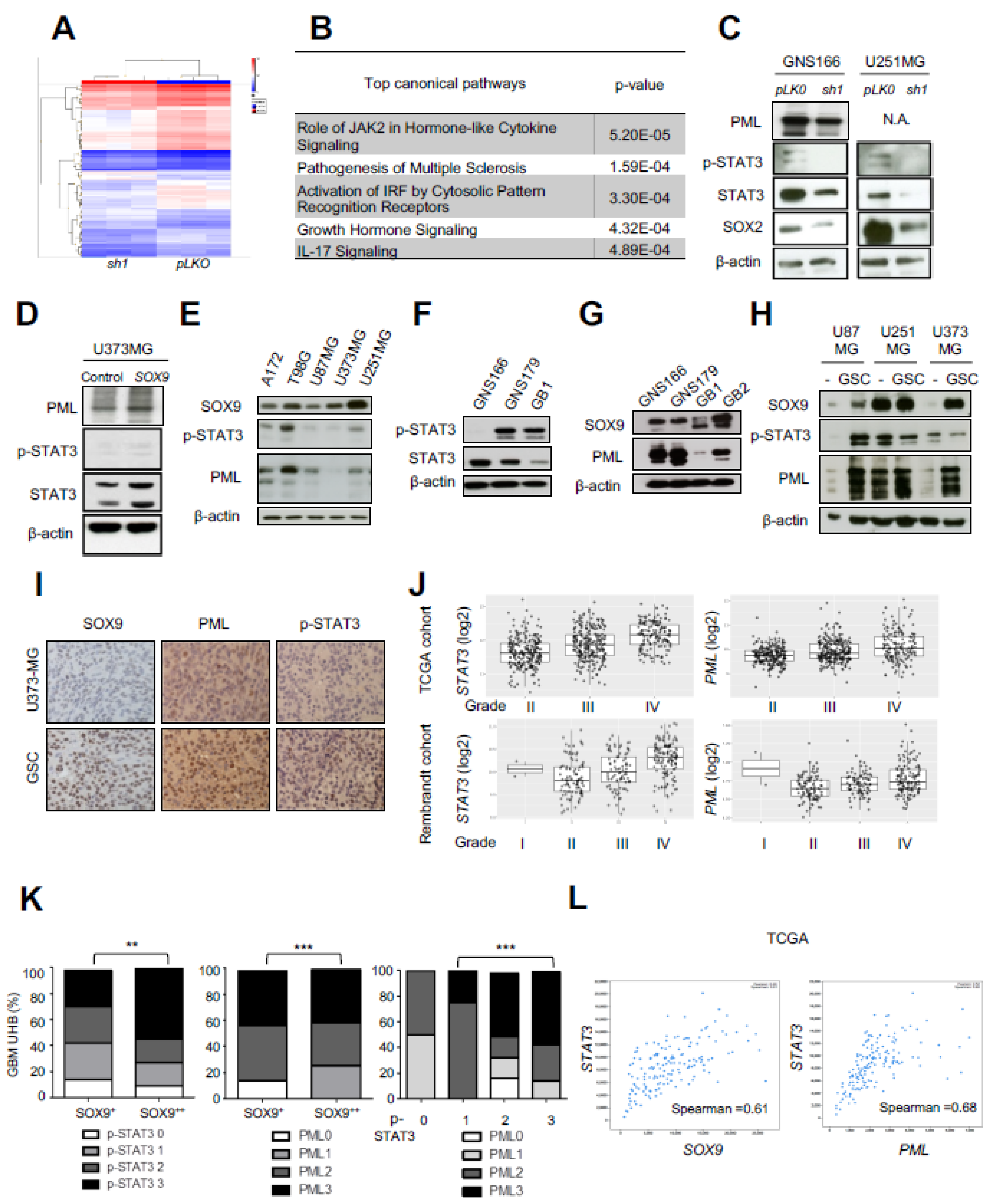 Ijms 23 04511 g004 550