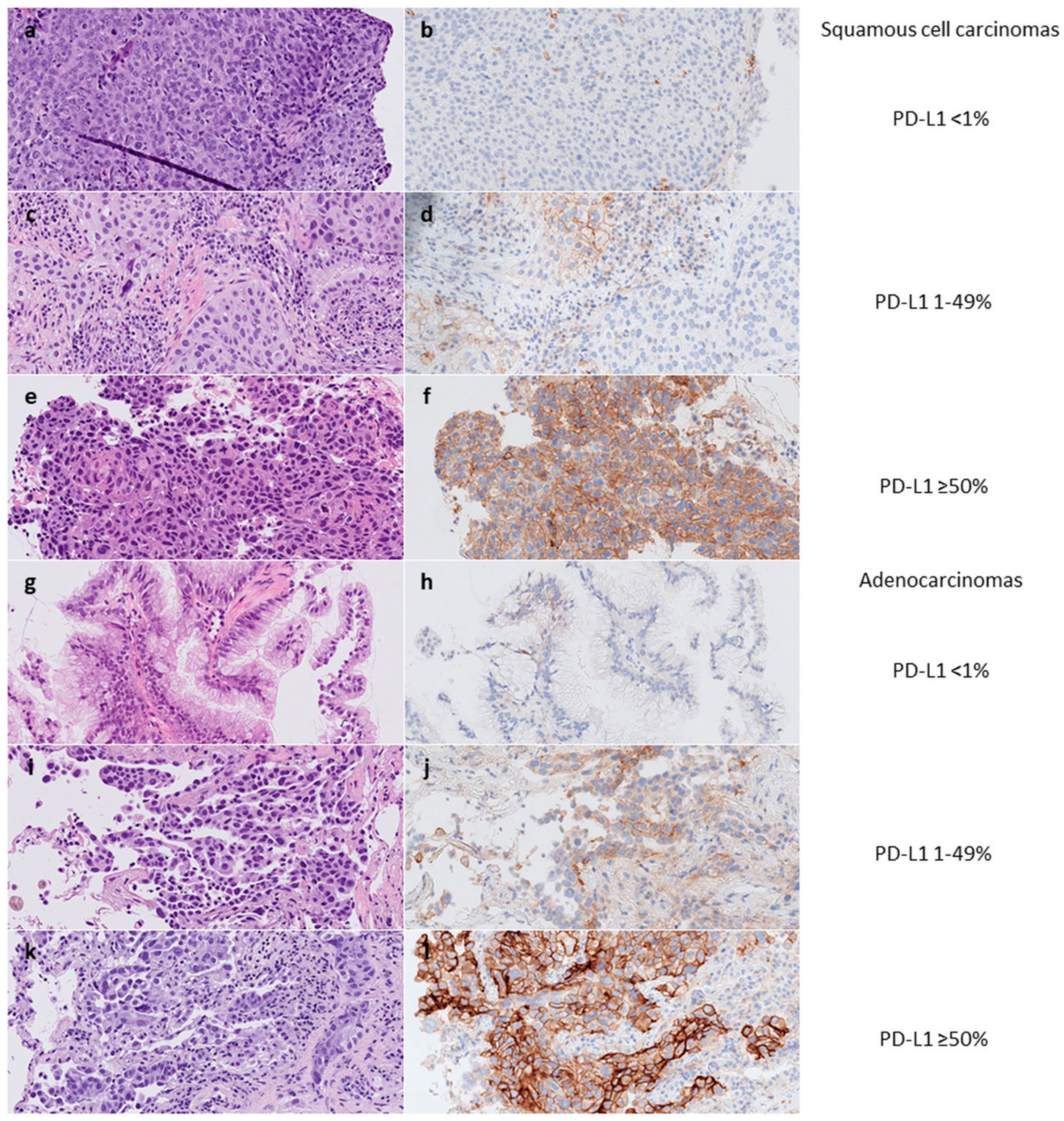 Ijms 23 04517 g001 550