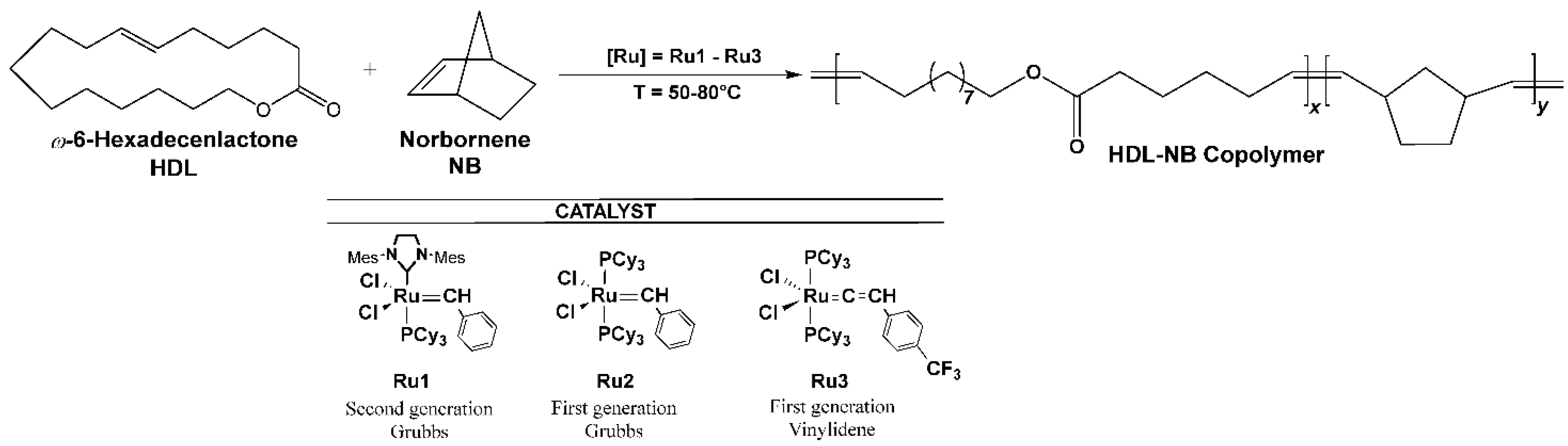 Ijms 23 04521 sch001
