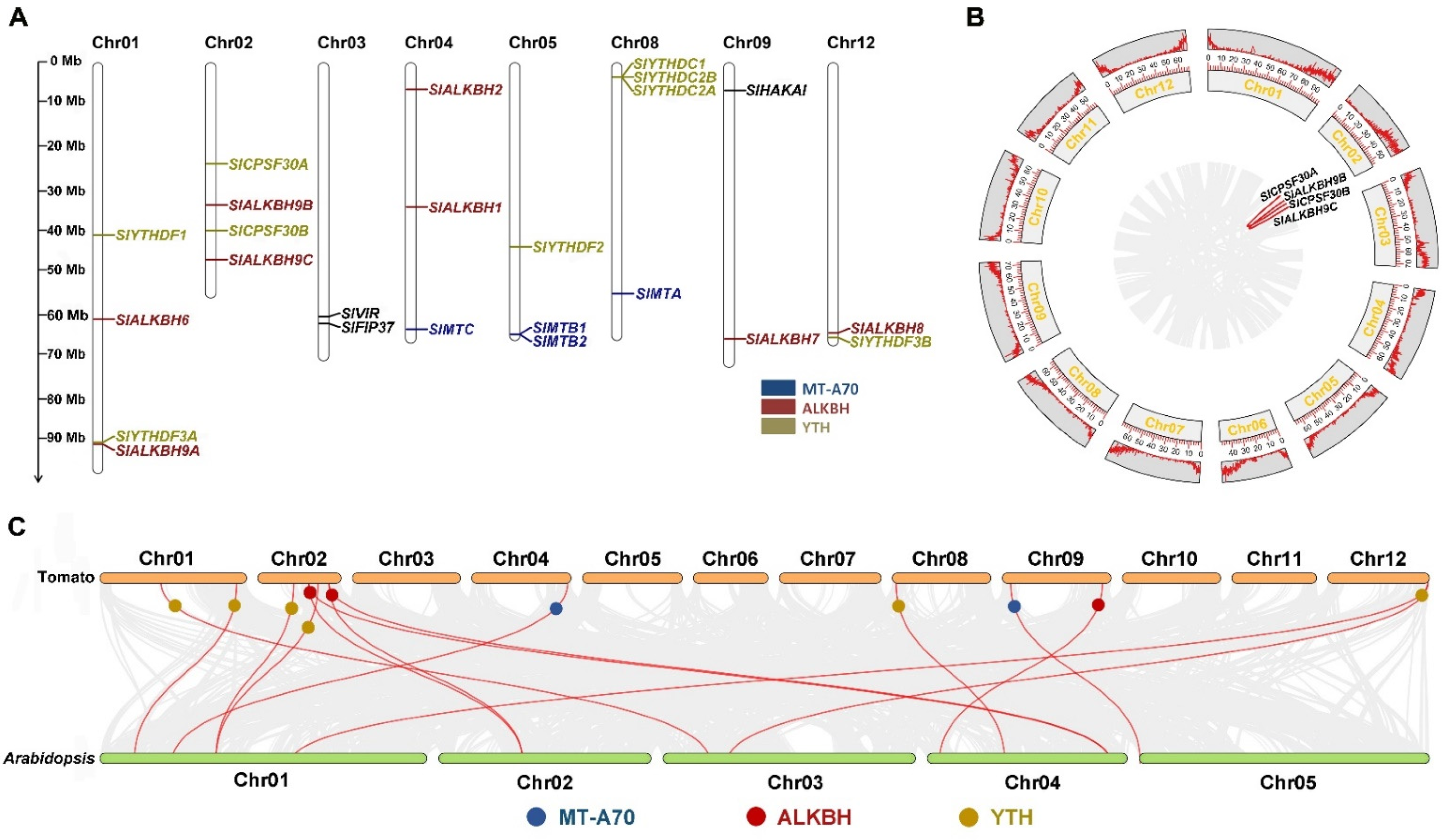 Ijms 23 04522 g001 550