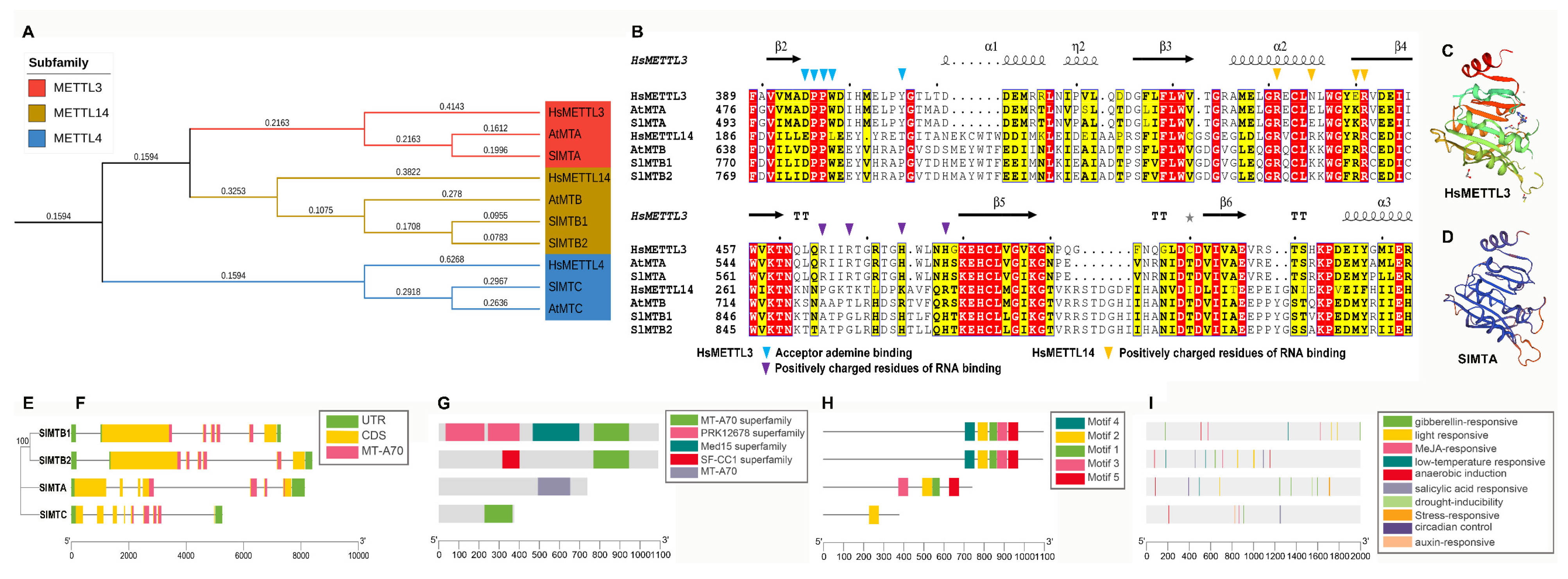 Ijms 23 04522 g002 550