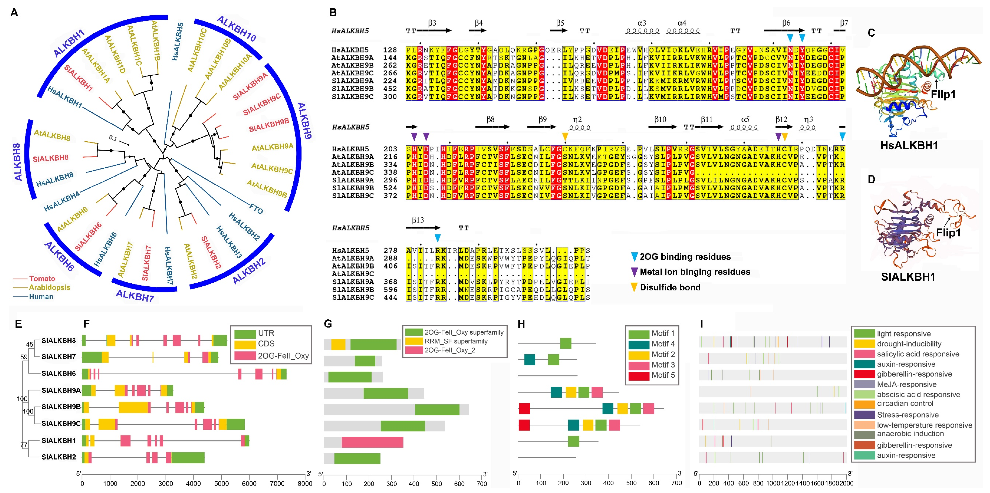 Ijms 23 04522 g003 550