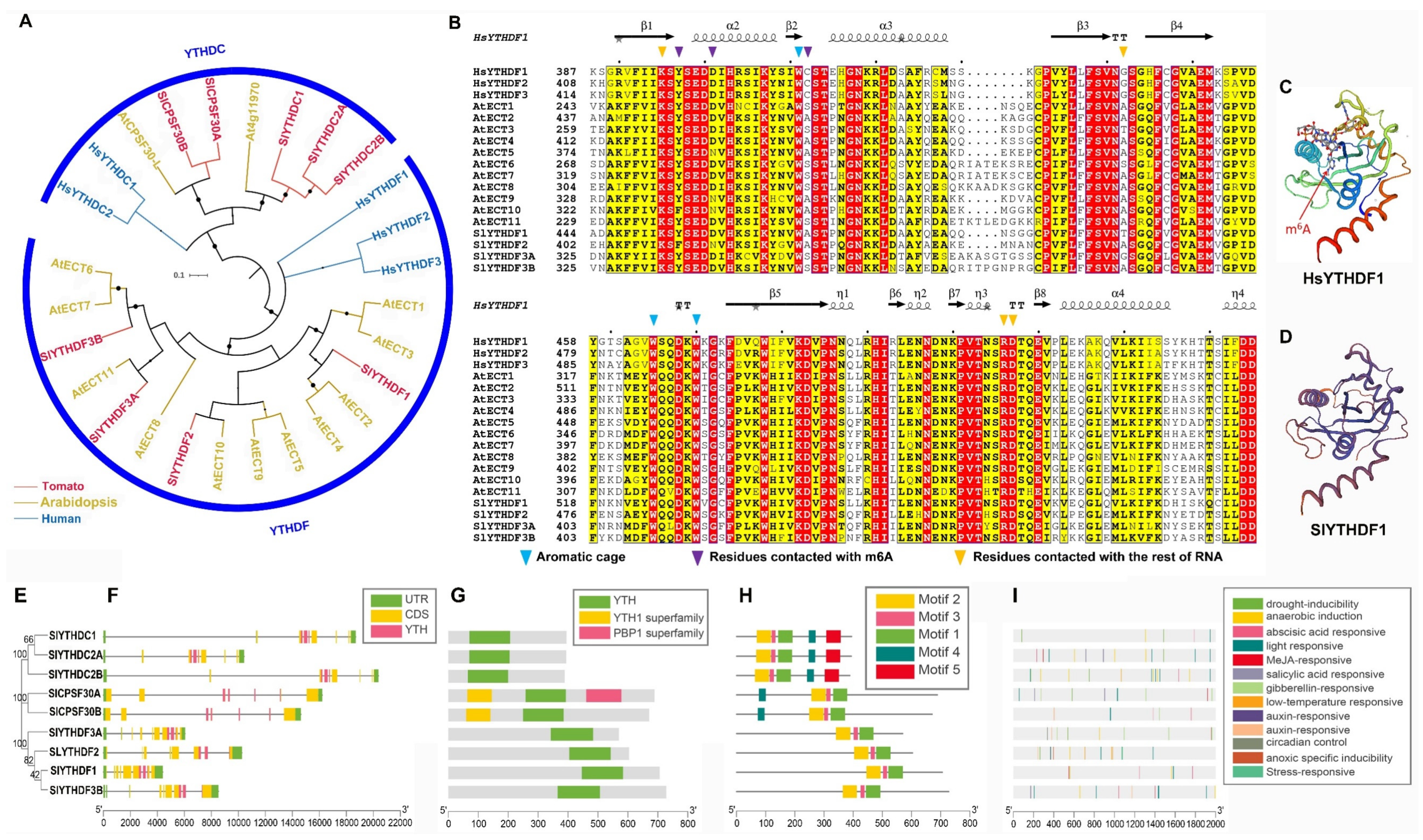Ijms 23 04522 g004 550