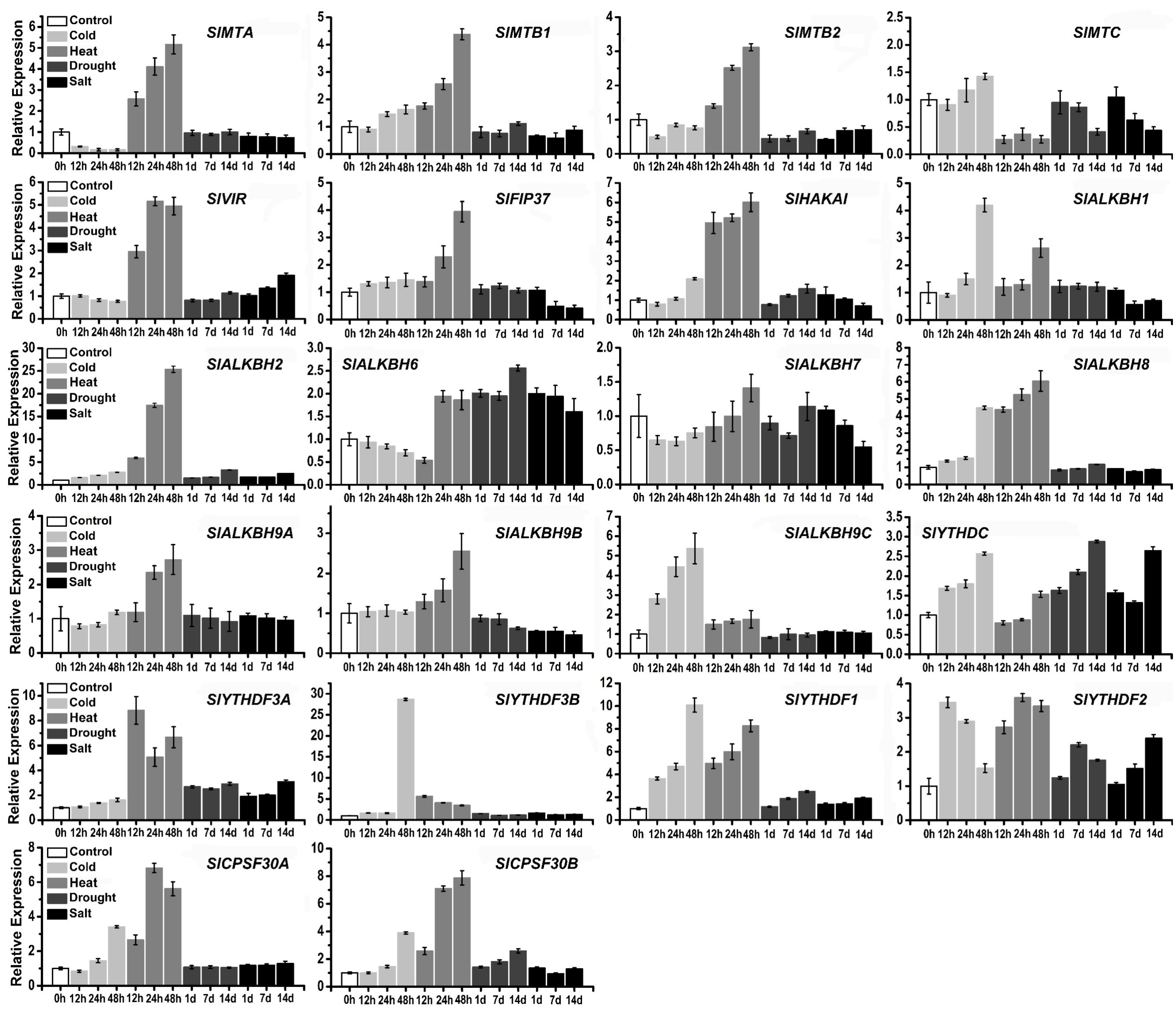 Ijms 23 04522 g006 550