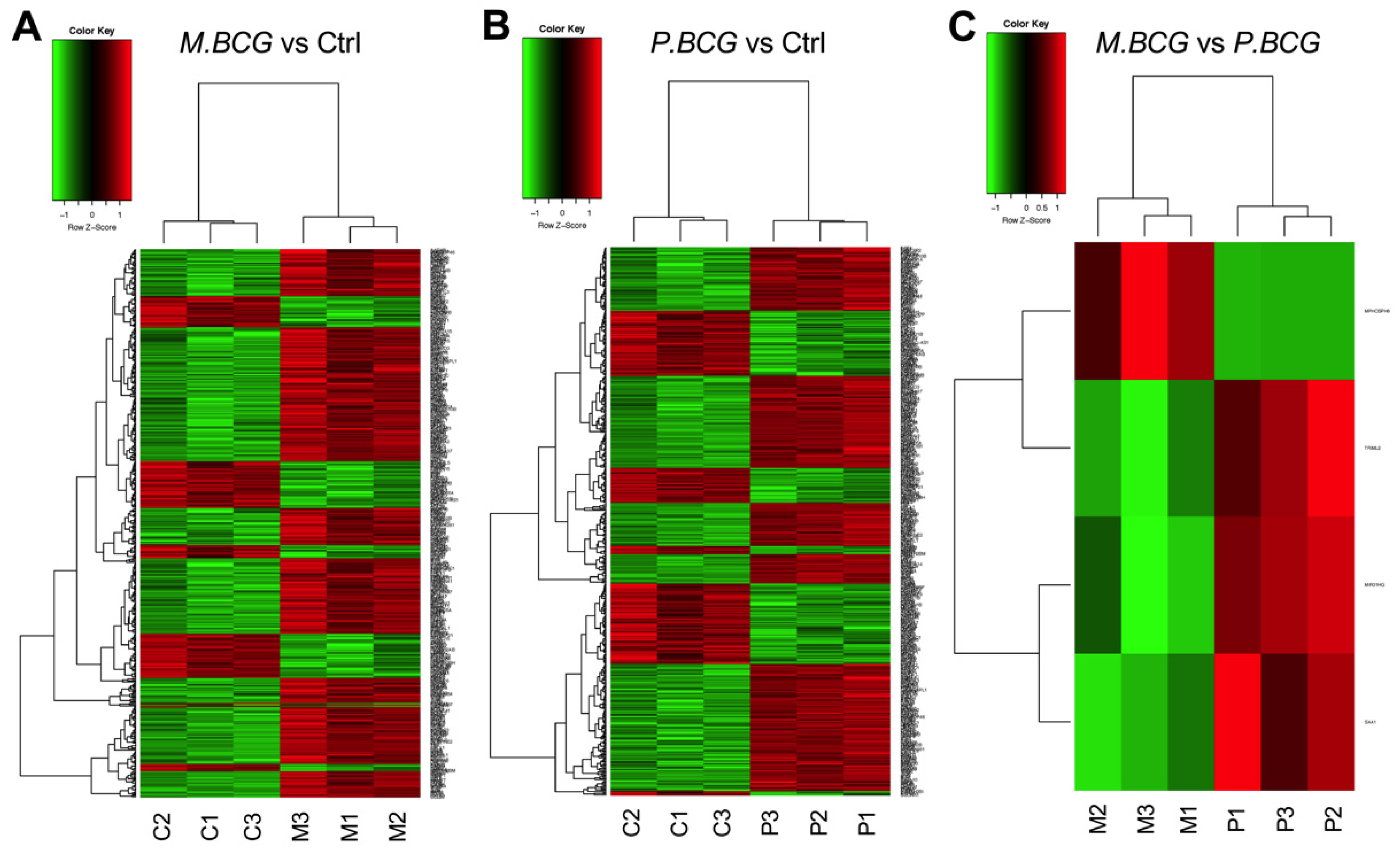Ijms 23 04525 g003 550