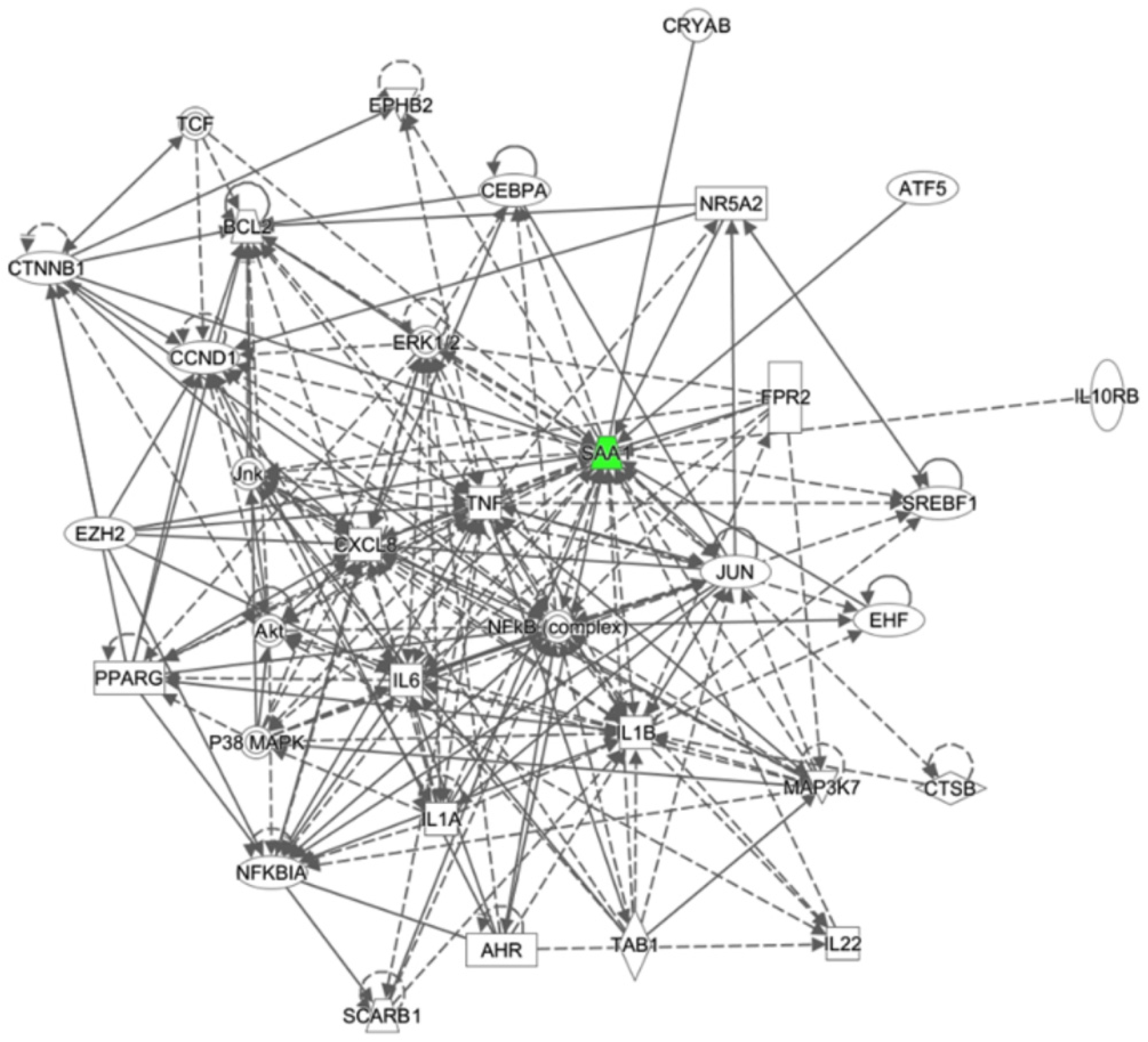 Ijms 23 04525 g006 550