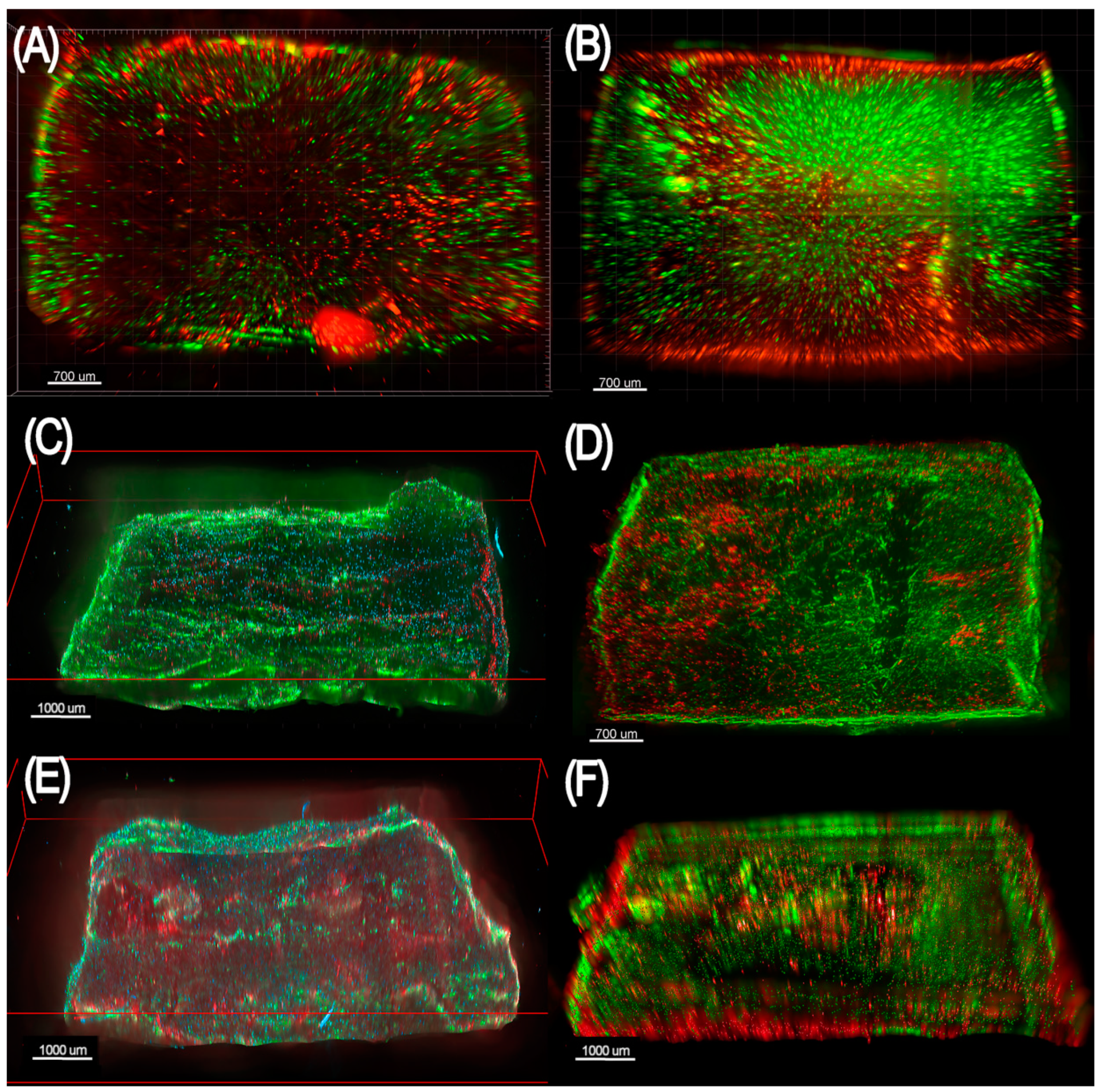 Ijms 23 04533 g005 550
