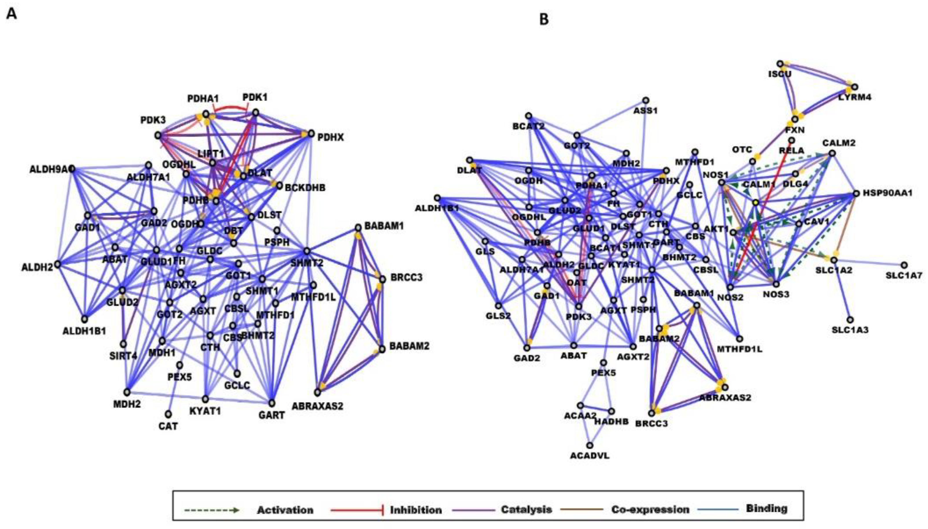 Ijms 23 04534 g003 Ijms 23 04534 g003