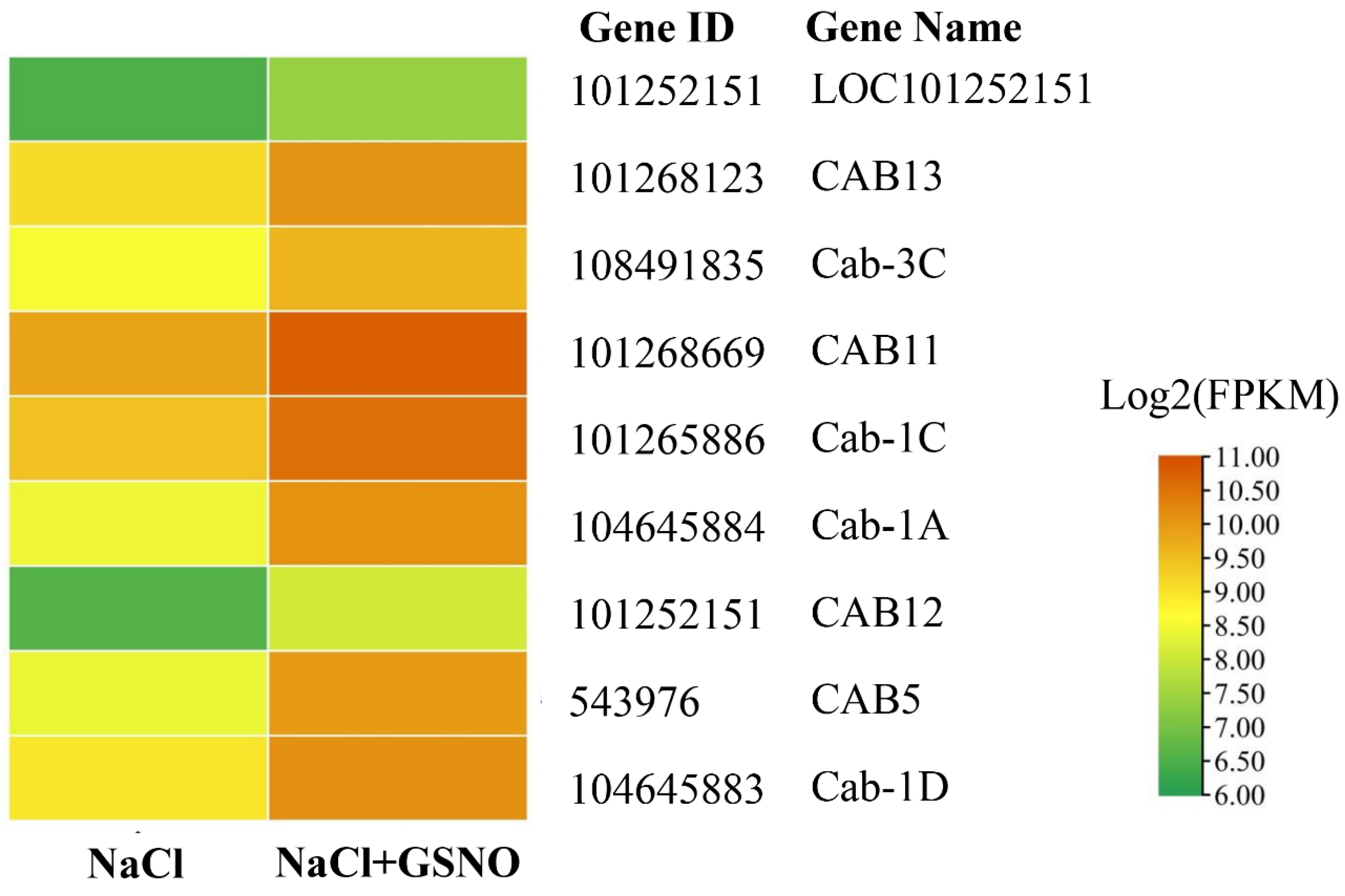 Ijms 23 04539 g005 550