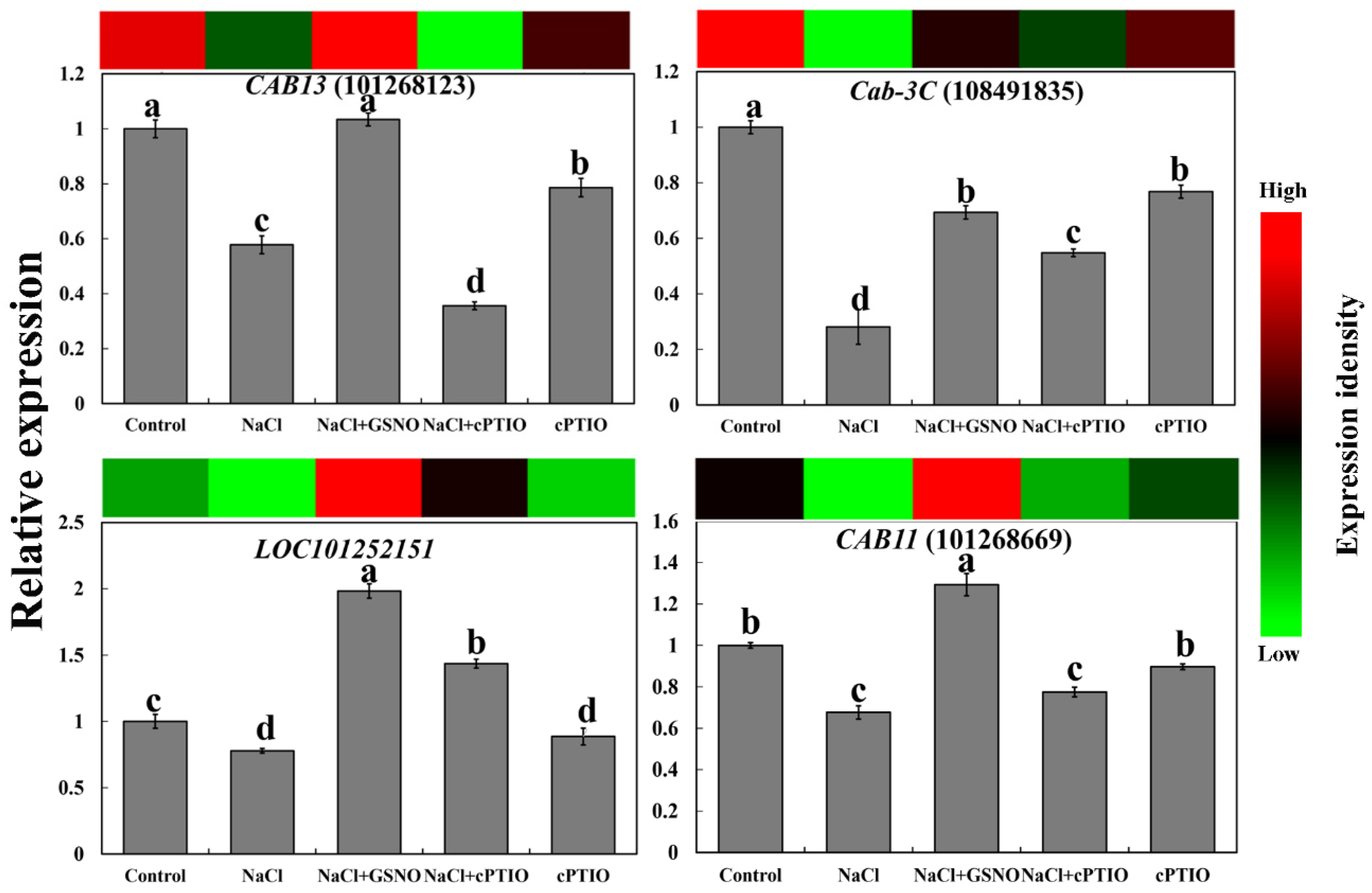 Ijms 23 04539 g006 550