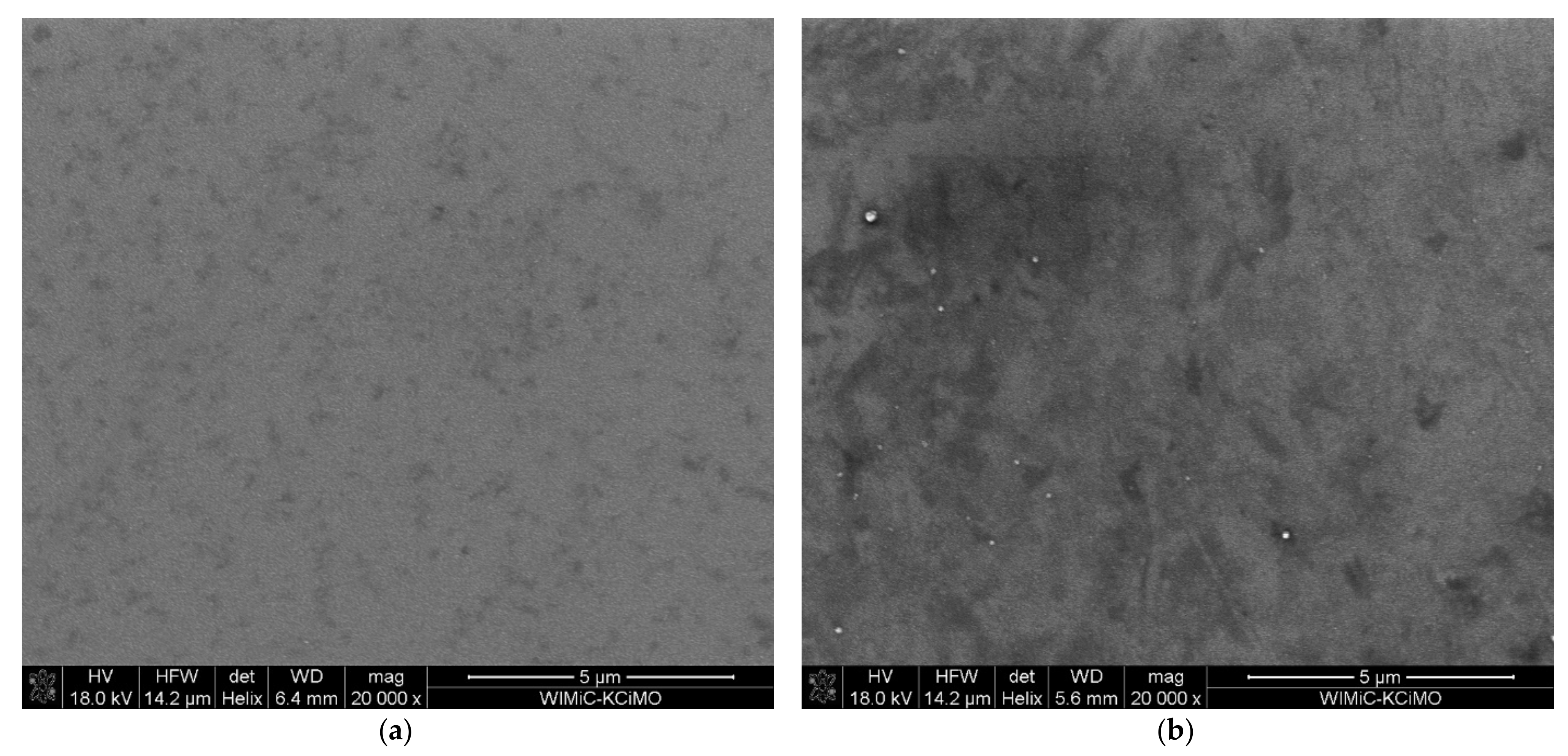 Ijms 23 04541 g006 550