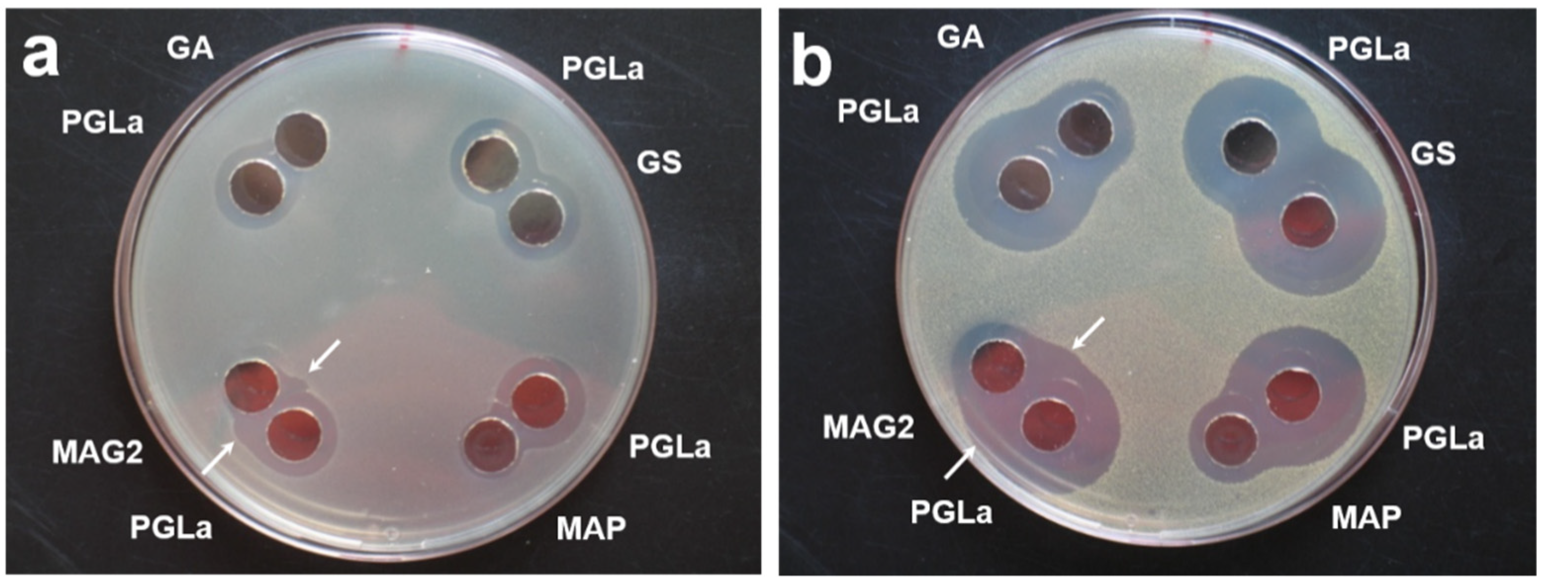 Ijms 23 04544 g0a1 550