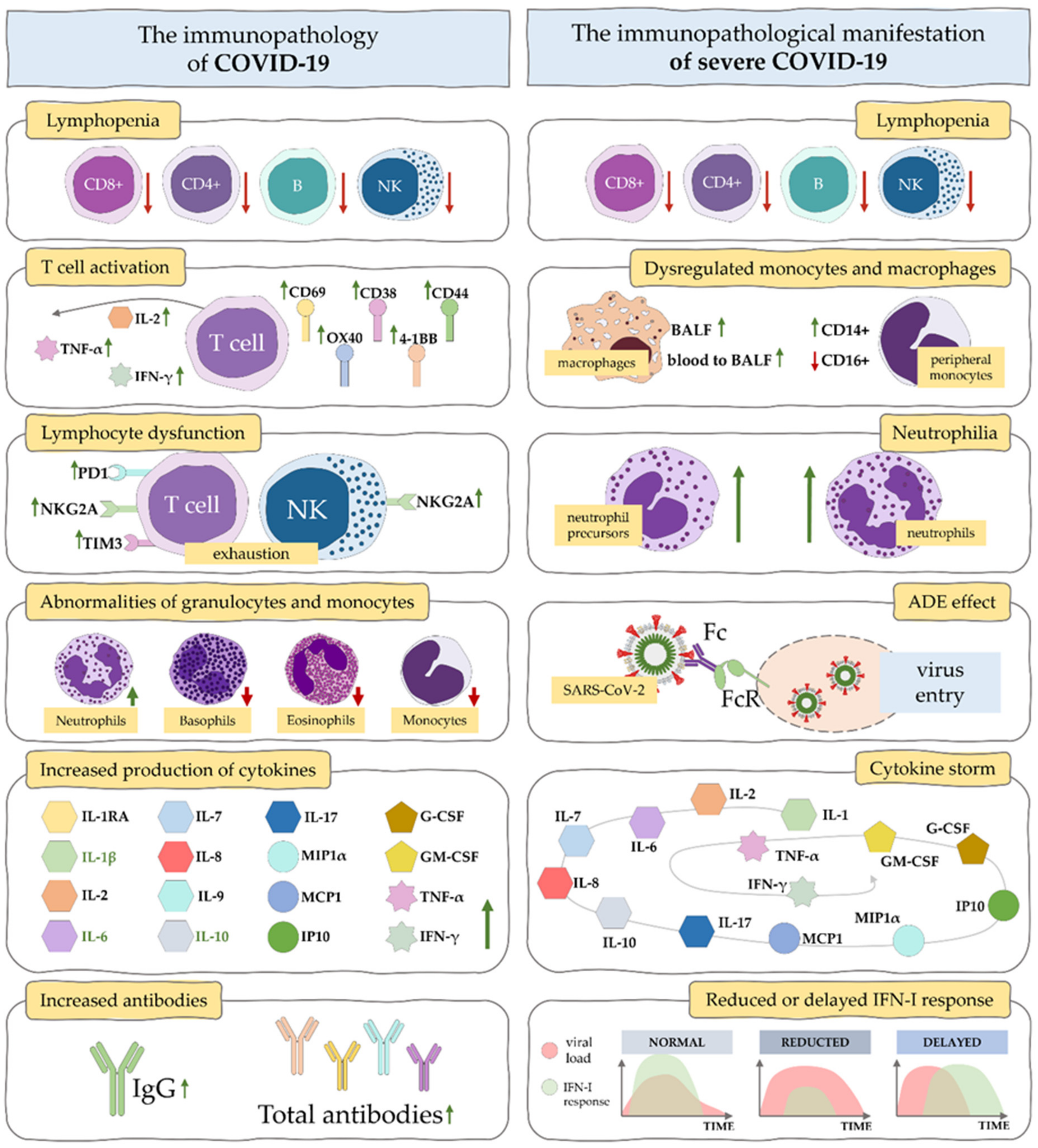 Ijms 23 04545 g003 550