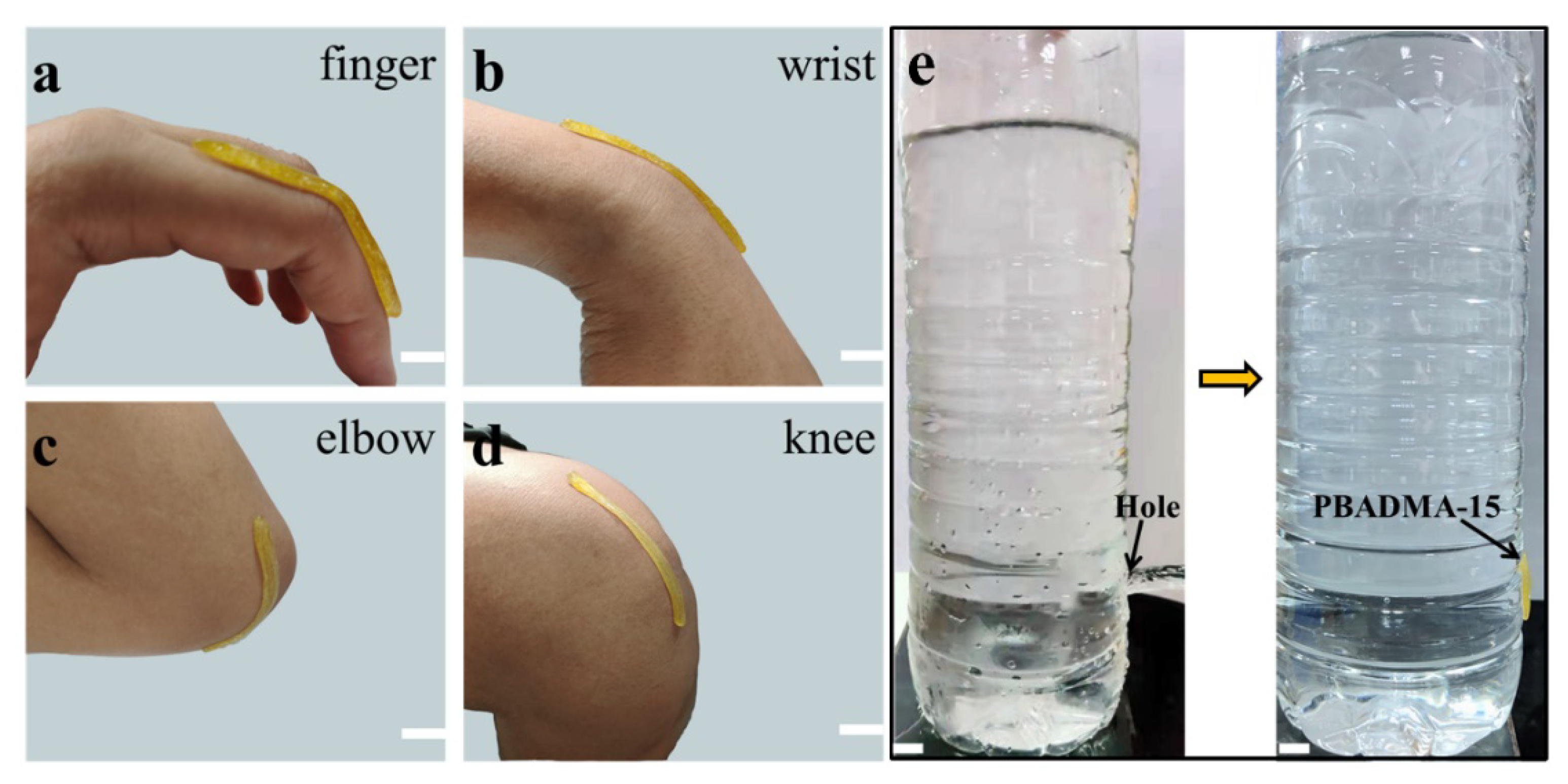 Ijms 23 04548 g006 550