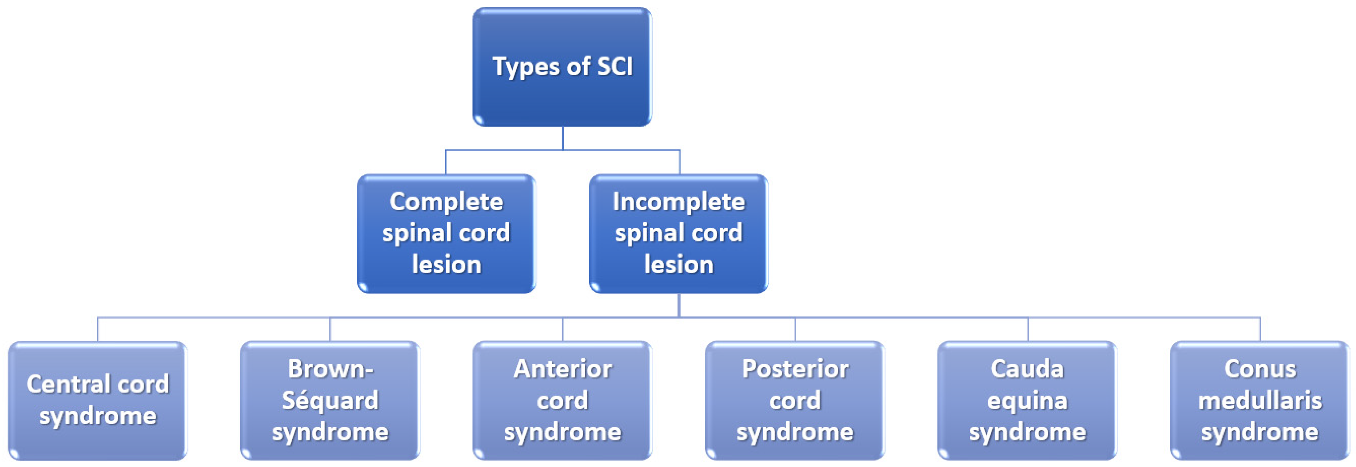 Ijms 23 04552 g002 550