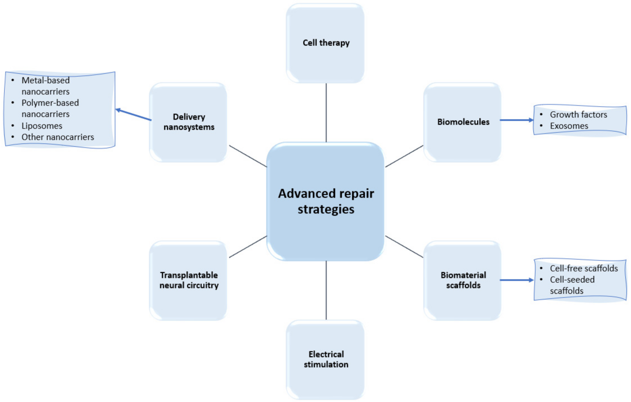 Ijms 23 04552 g003 550