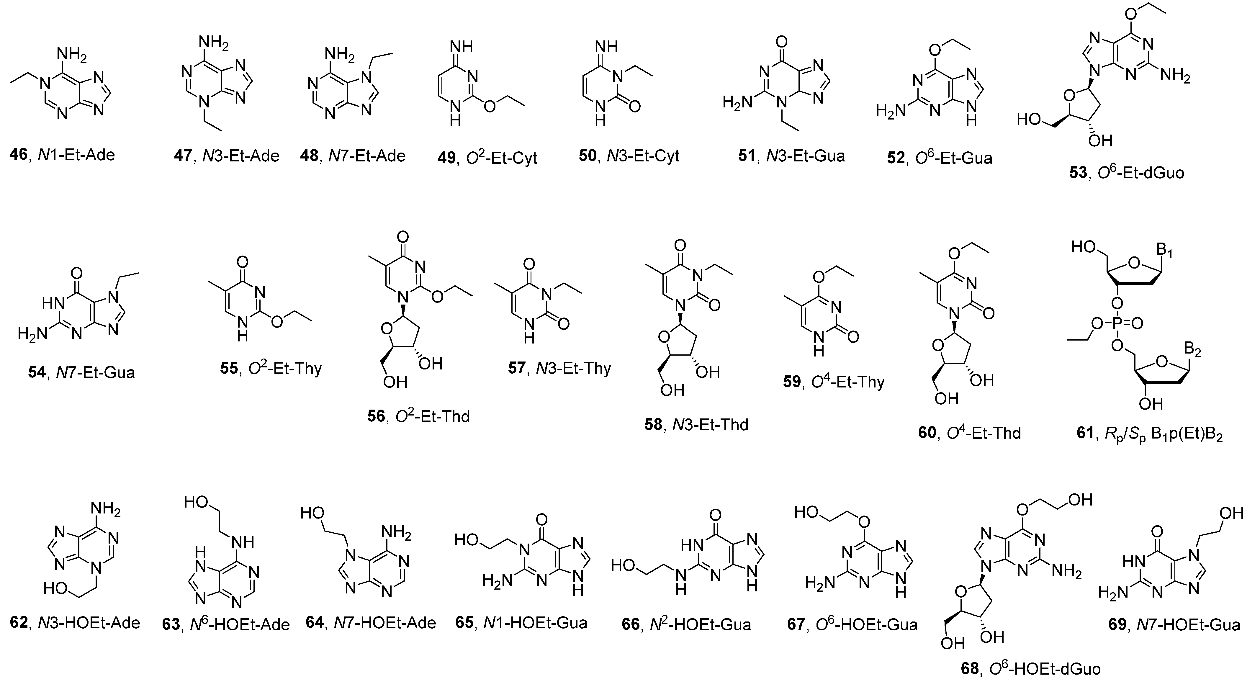 Ijms 23 04559 g005 Ijms 23 04559 g005