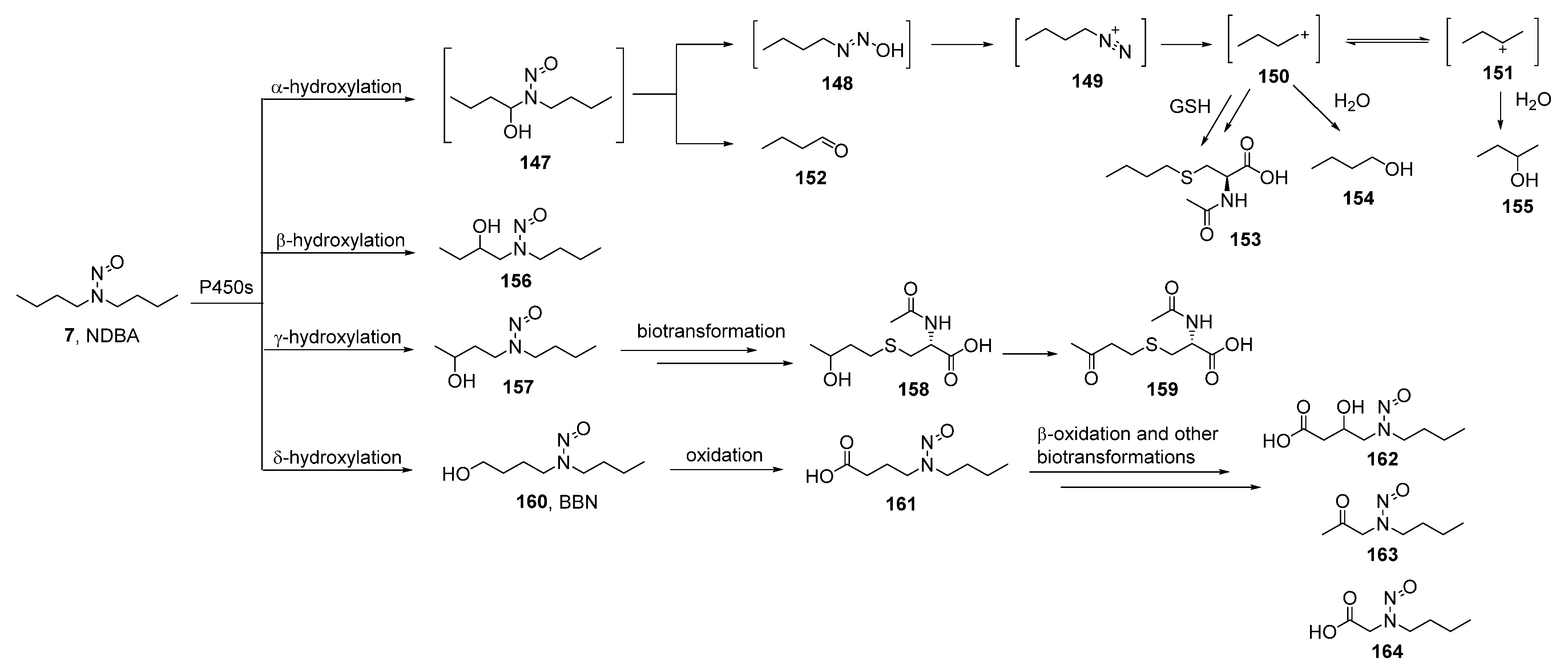 Ijms 23 04559 sch007 Ijms 23 04559 sch007