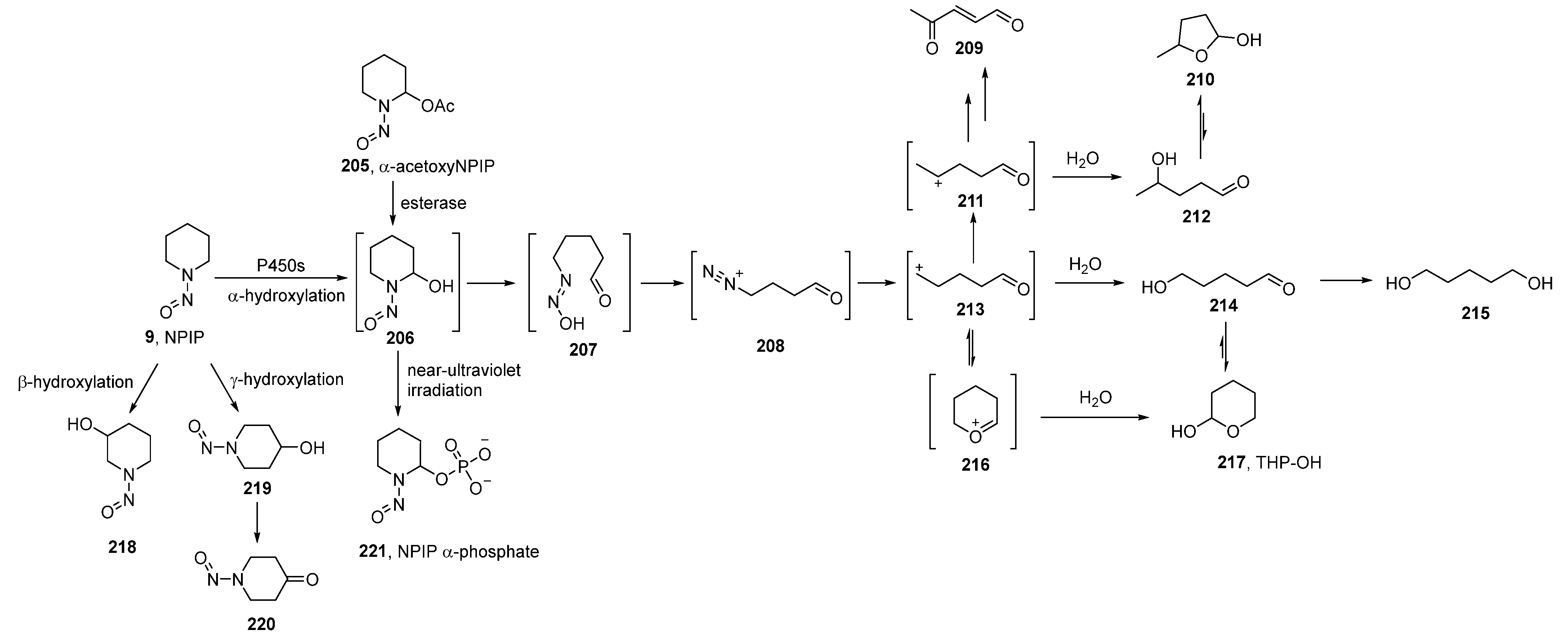 Ijms 23 04559 sch009 Ijms 23 04559 sch009