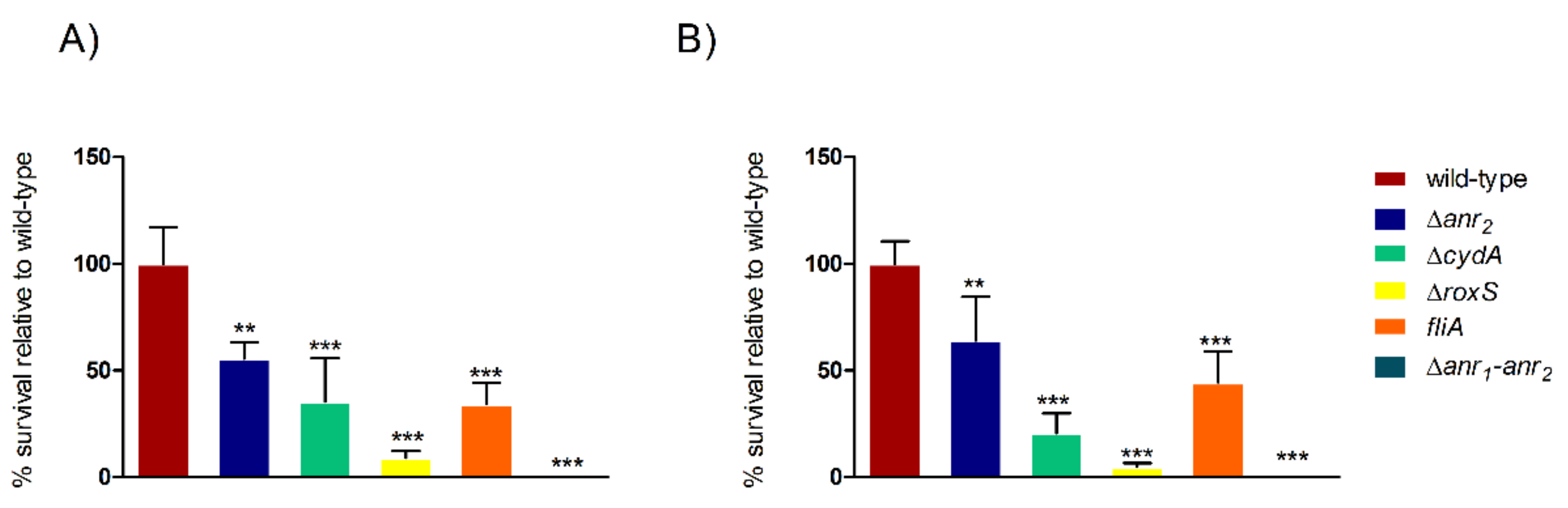 Ijms 23 04560 g004 Ijms 23 04560 g004